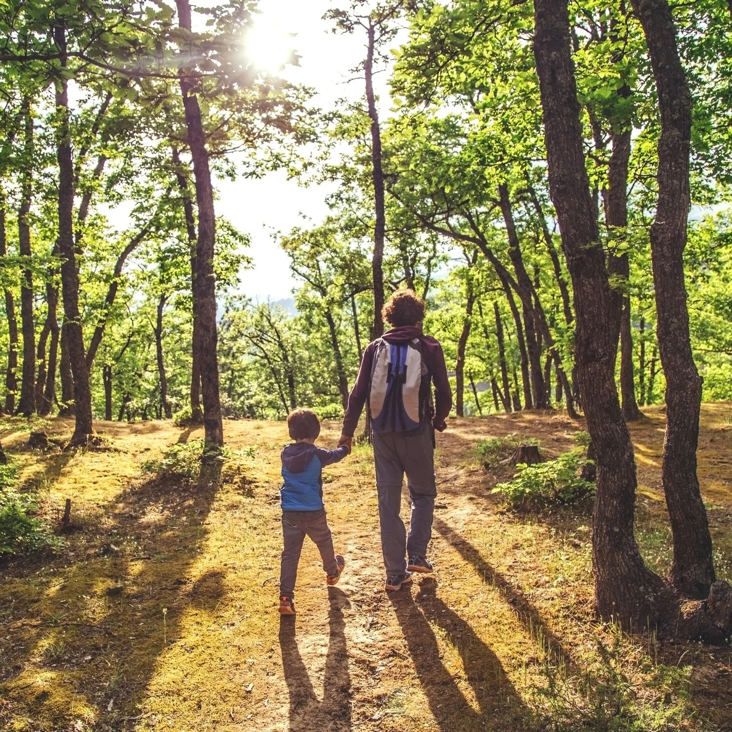 Parent walk with their child on a forest trail.