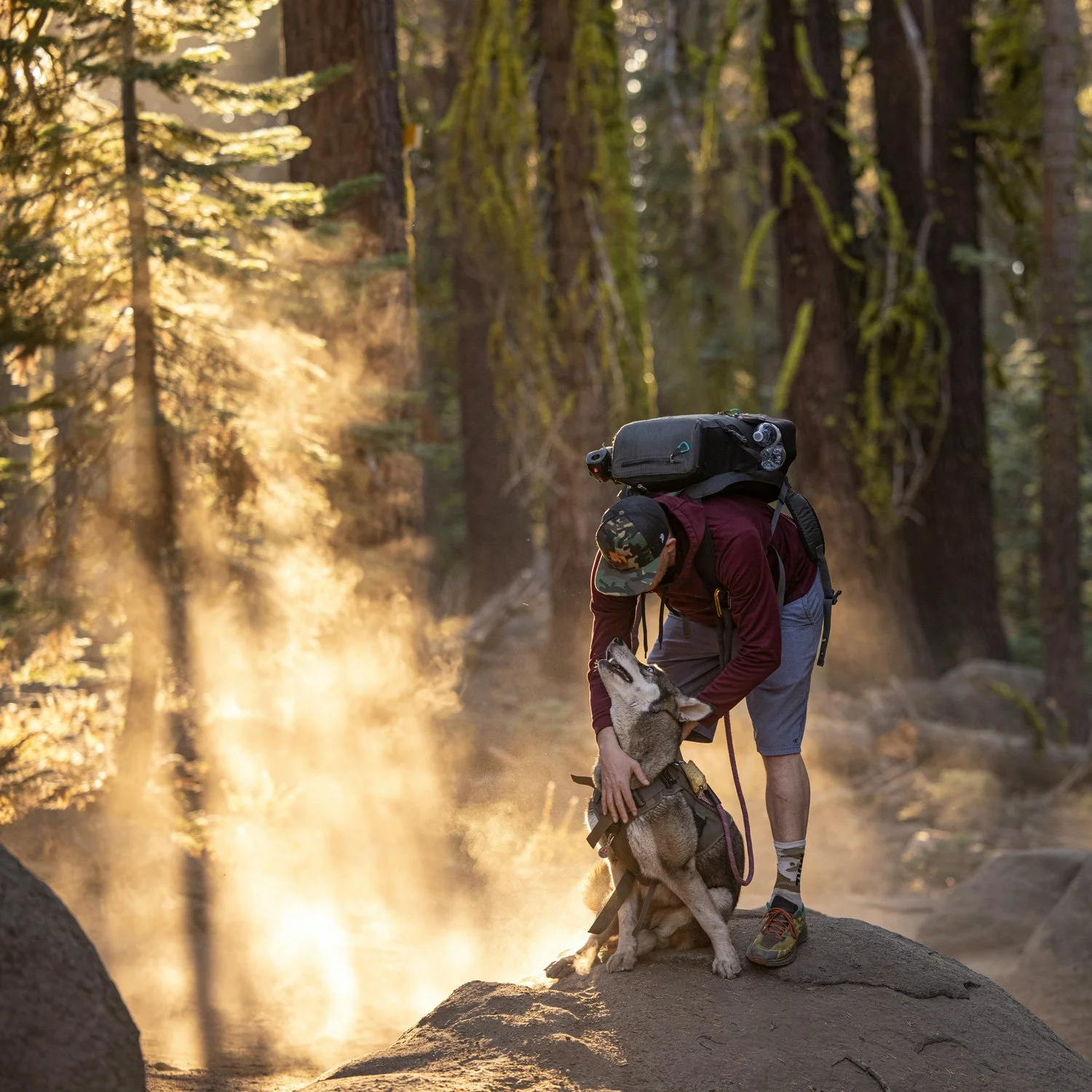Hiker pets his dog nears some trees.