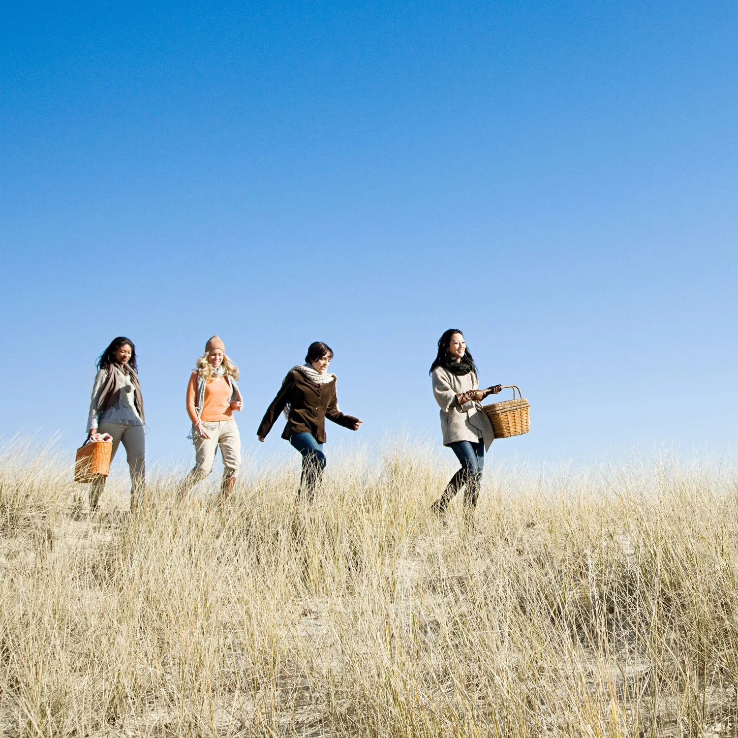 Four ladies have a picnic together.