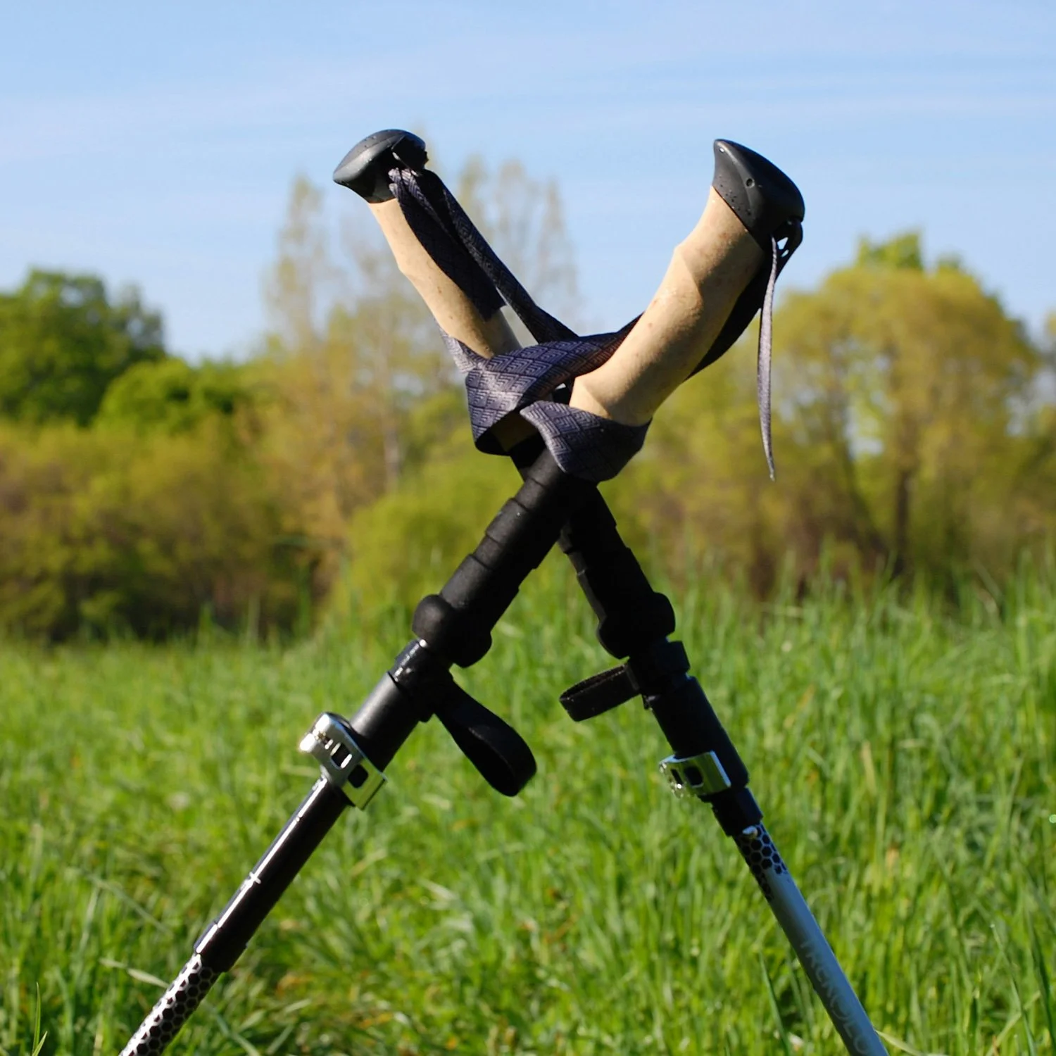 A pair of trekking poles stuck in the ground.