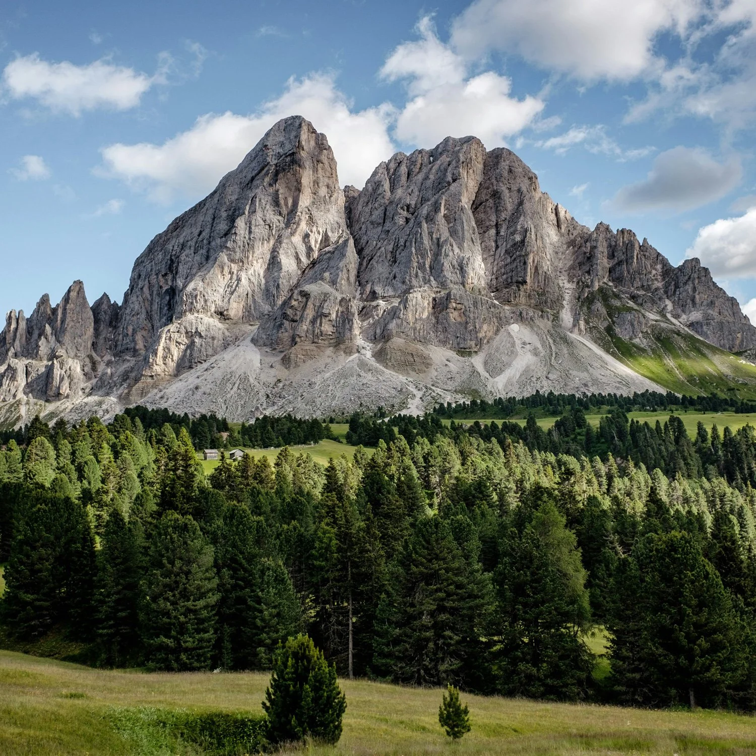 Beautiful mountain scene with forest in foreground and steep cliffs in the background.