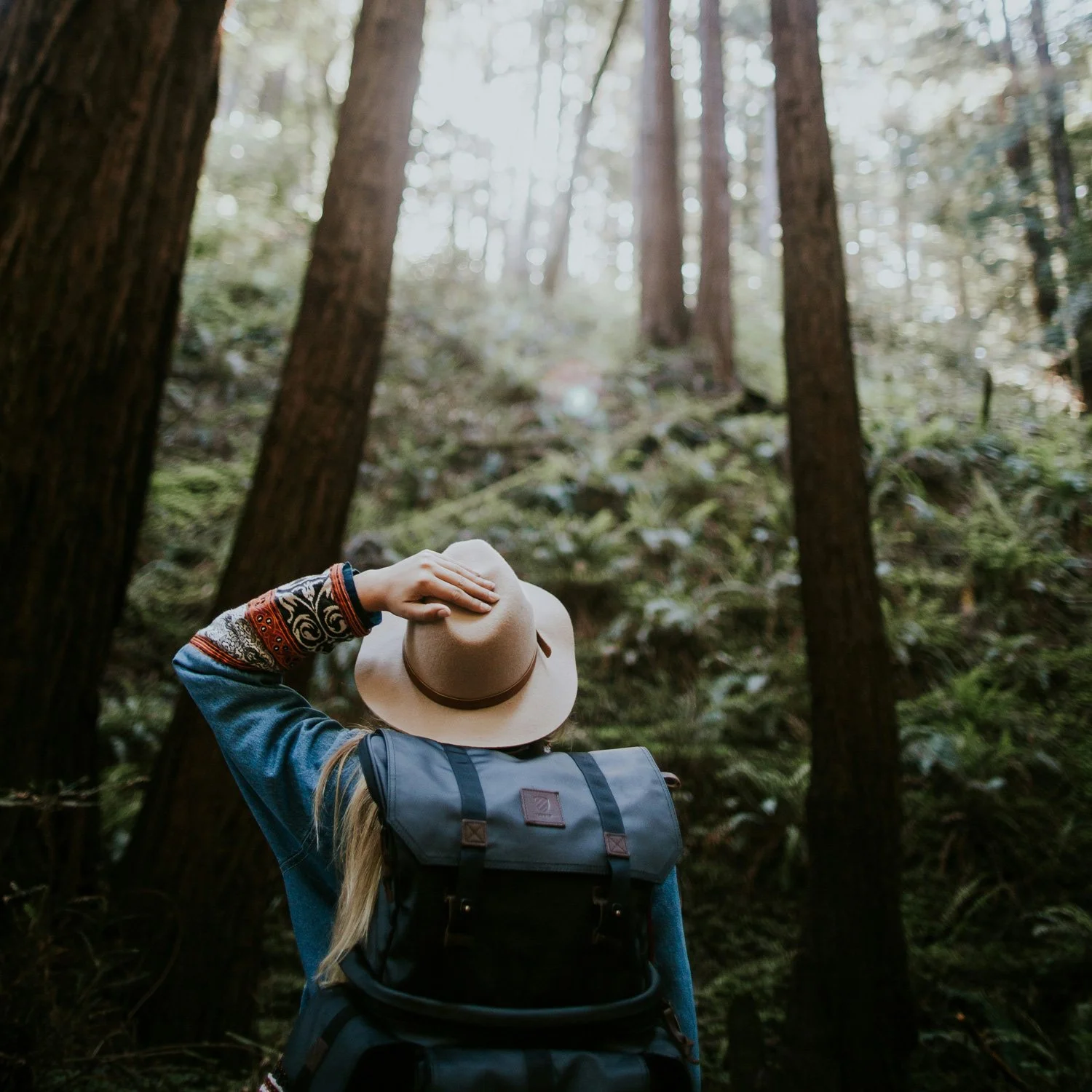 Woman reaches up and holds hat while gazing up at tall trees.