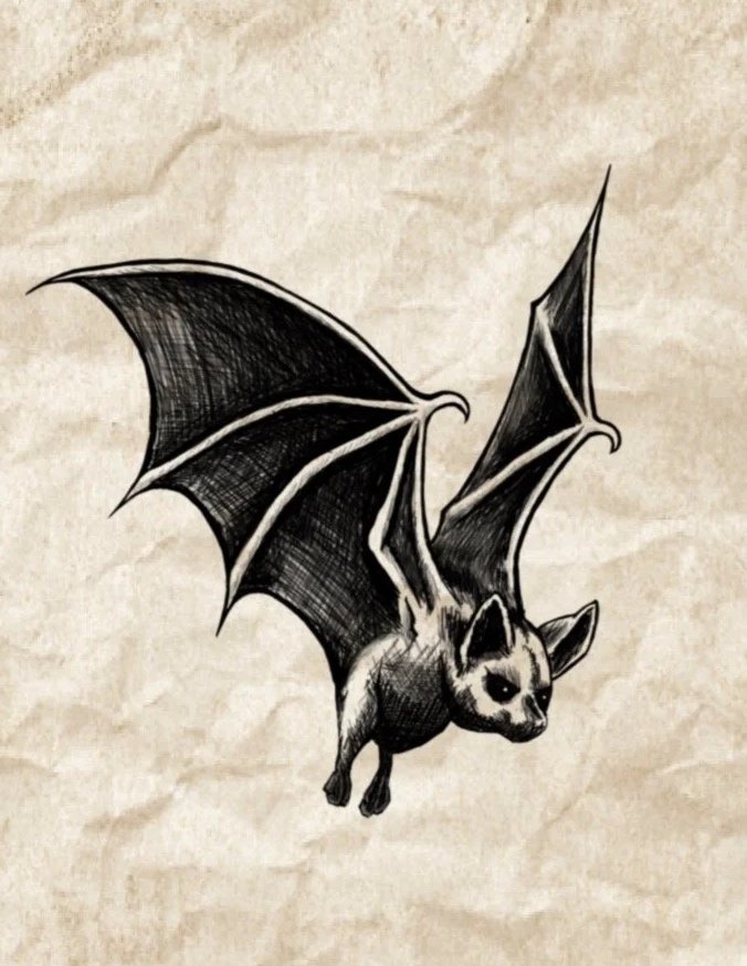 Black and white illustration of a bat with a dog's head and body, drawn on parchment-like paper.