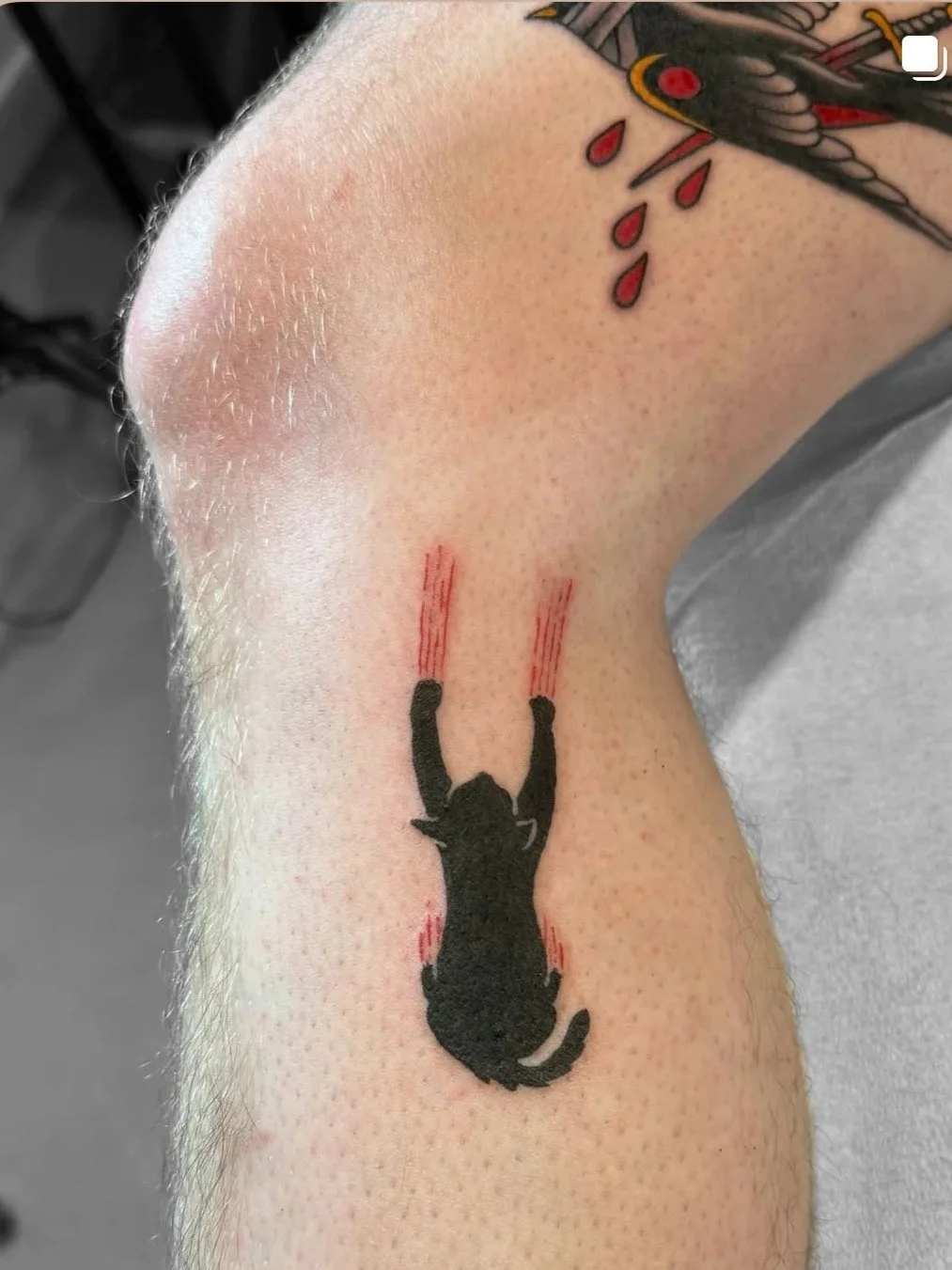 Tattoo of a black cat upside down with red lines around its paws, located on the person's arm near the elbow, with another tattoo of a bird with red drops nearby.