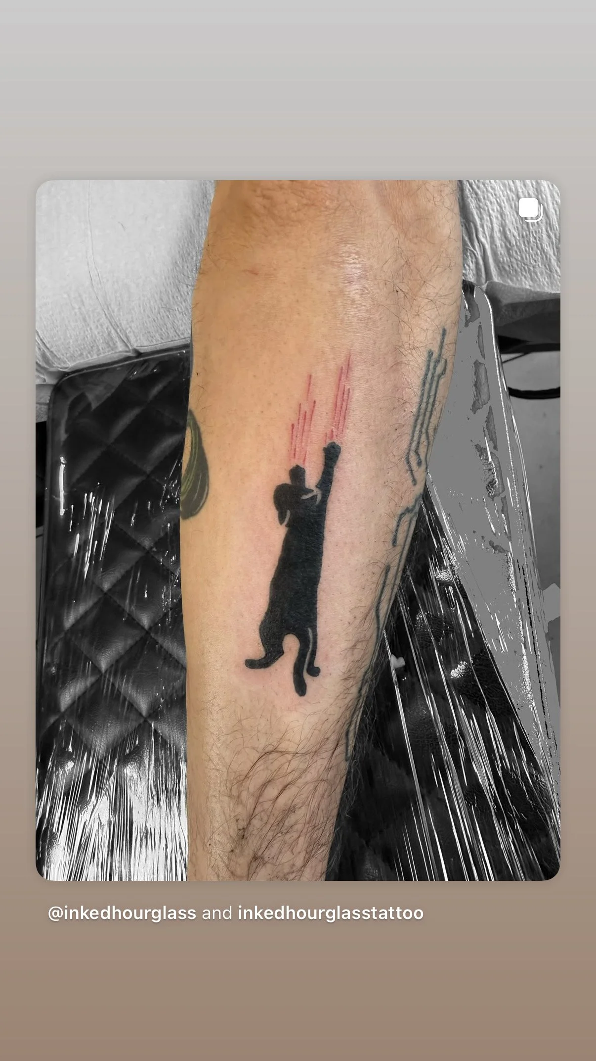 Black silhouette of a cat caught mid-air, with red lines indicating motion or impact, on a person's forearm.