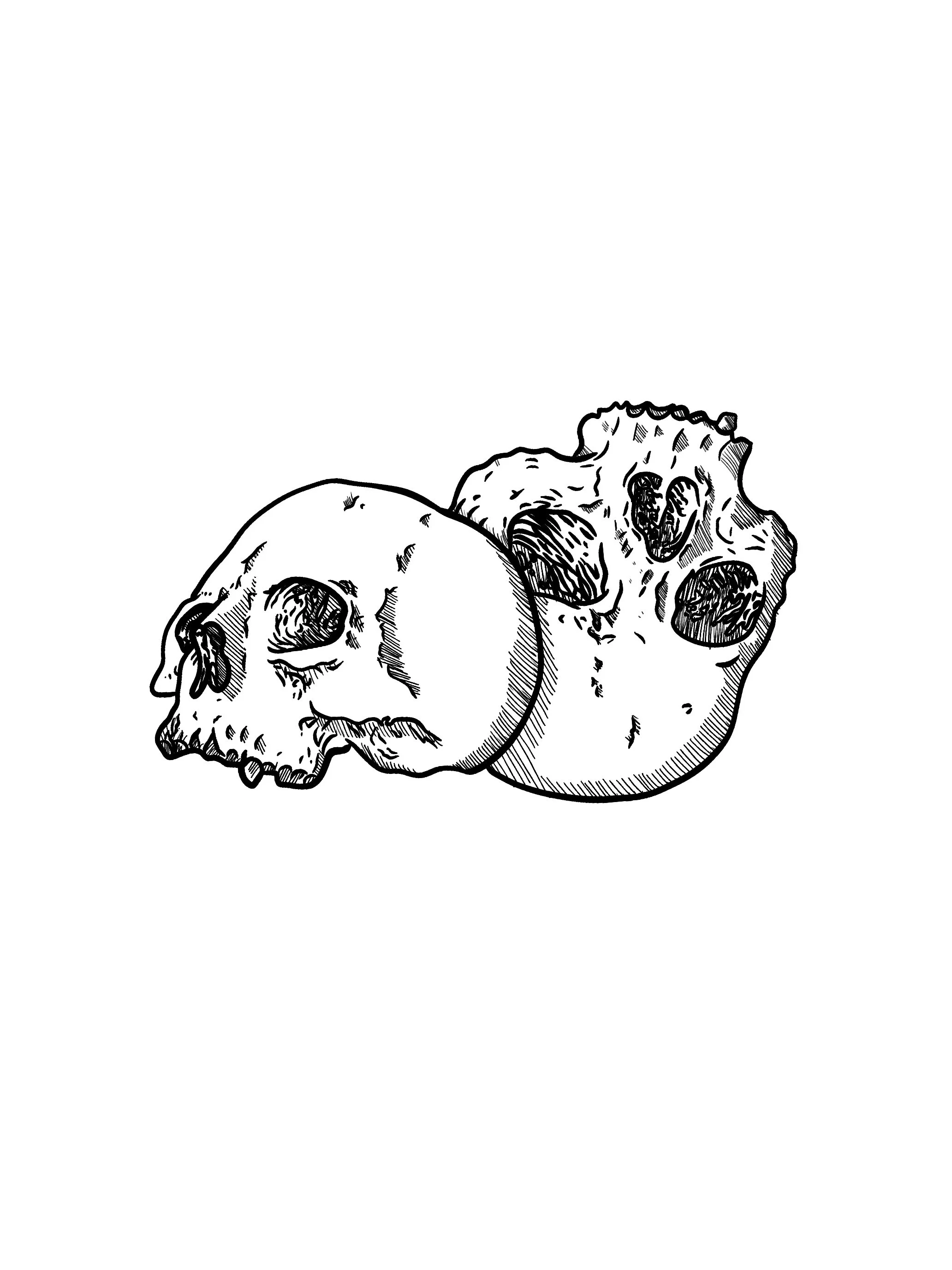 Black and white illustration of a small skull and a fragment of a human skull with hollow eye sockets and detailed shading.