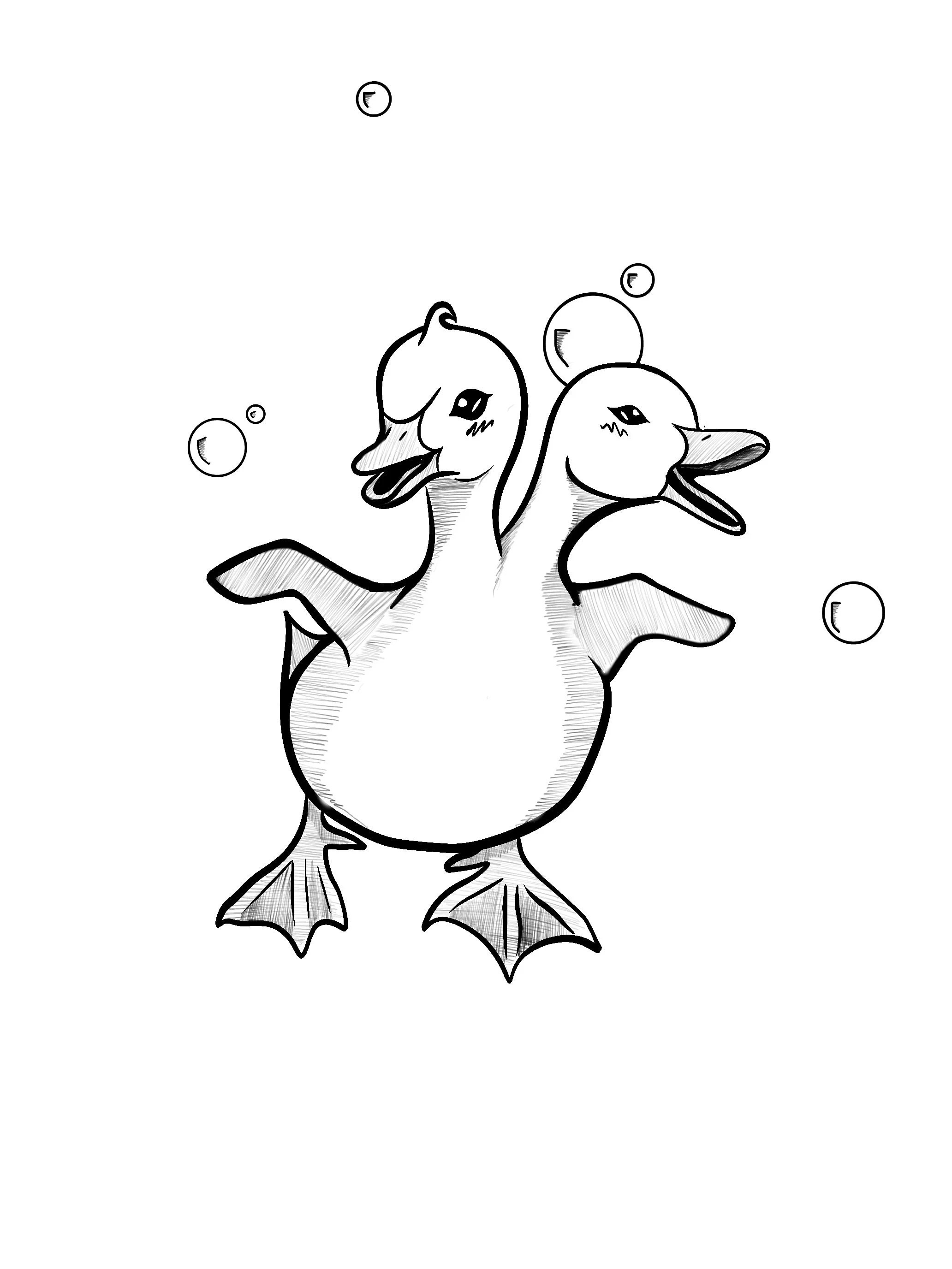 Black and white drawing of two ducks joined at the body, with bubbles floating around them.