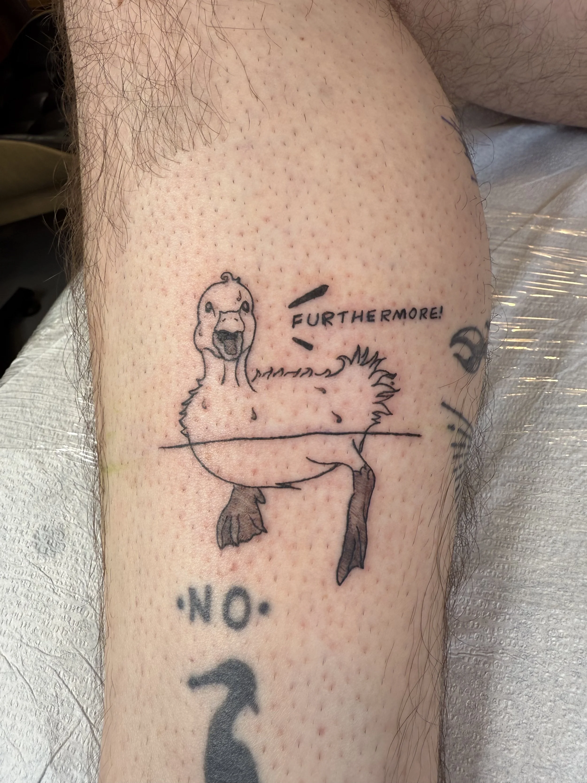 Tattoo of a duck with a humorous speech bubble saying 'Furthermore!' and the word 'NO' with an arrow below it.