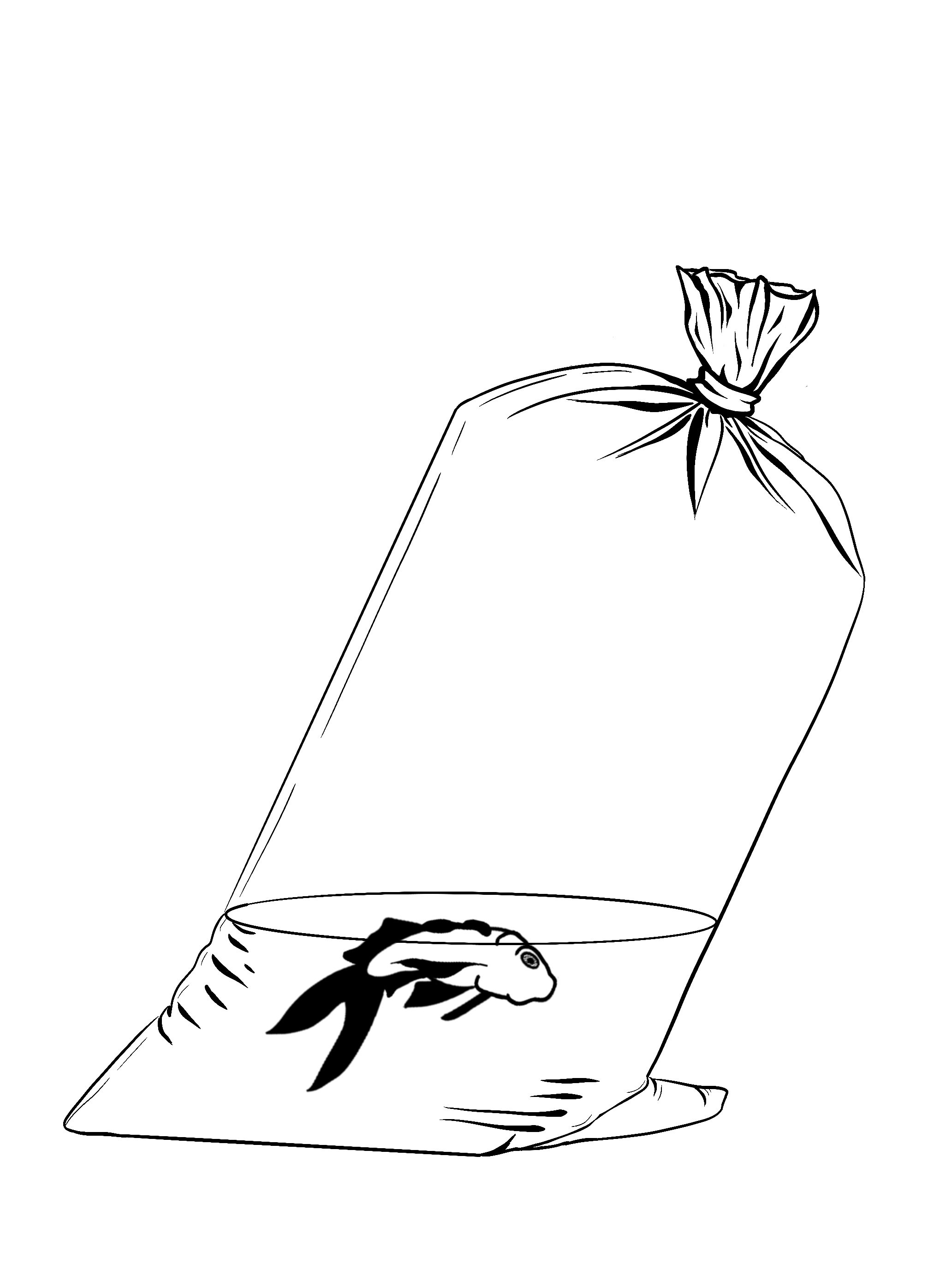 Line drawing of a small fish inside a clear plastic bag with a tied top, displaying a leaf underneath.