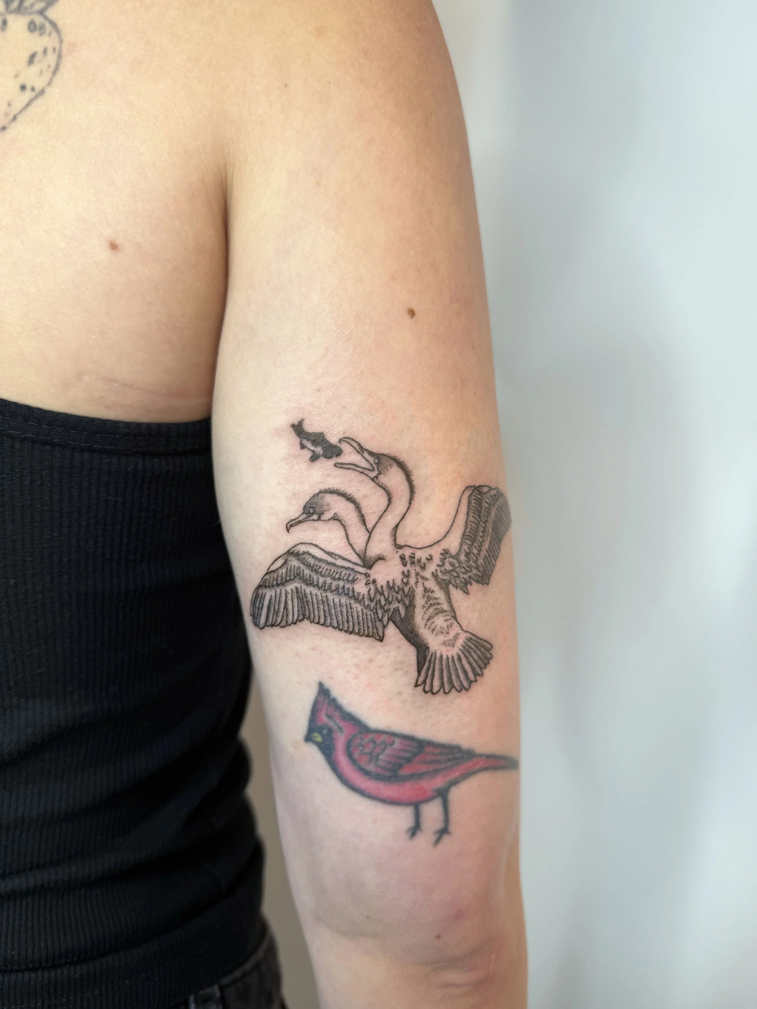 Tattoo of a bird with two heads on a person's upper arm.