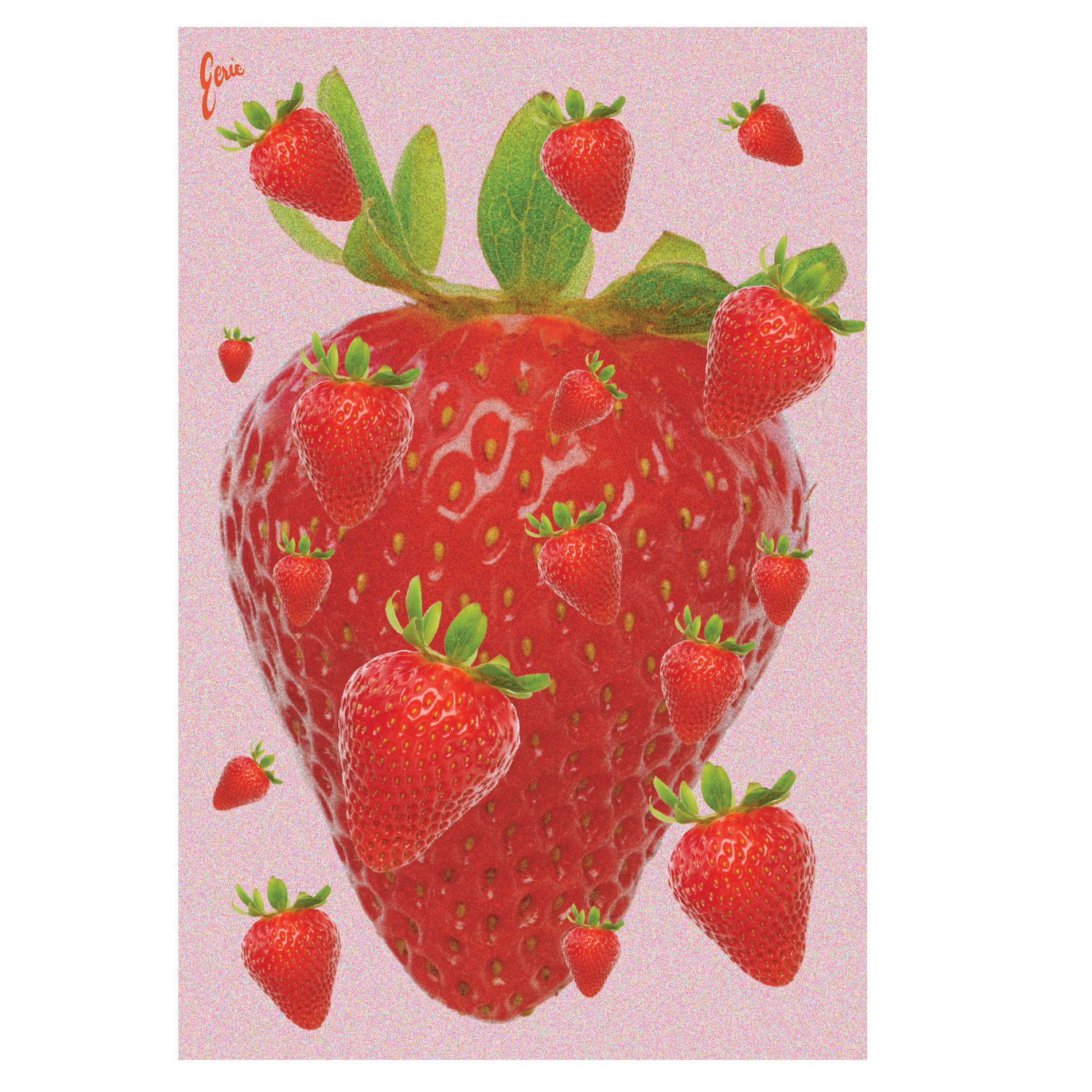 Monthly Postcard Subscription