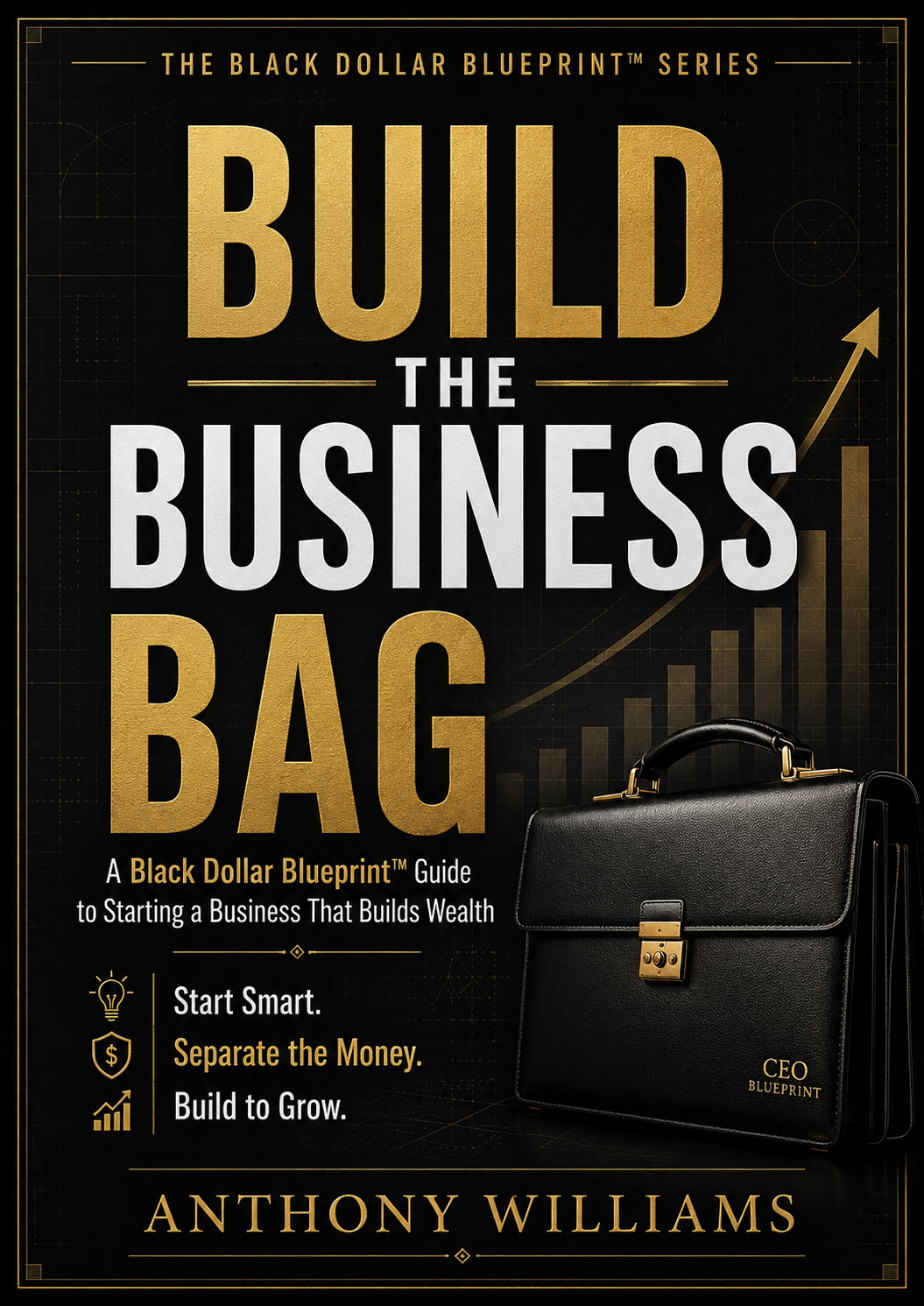 BUILD THE BUSINESS BAG:  Guide to Starting a Business That Builds Wealth