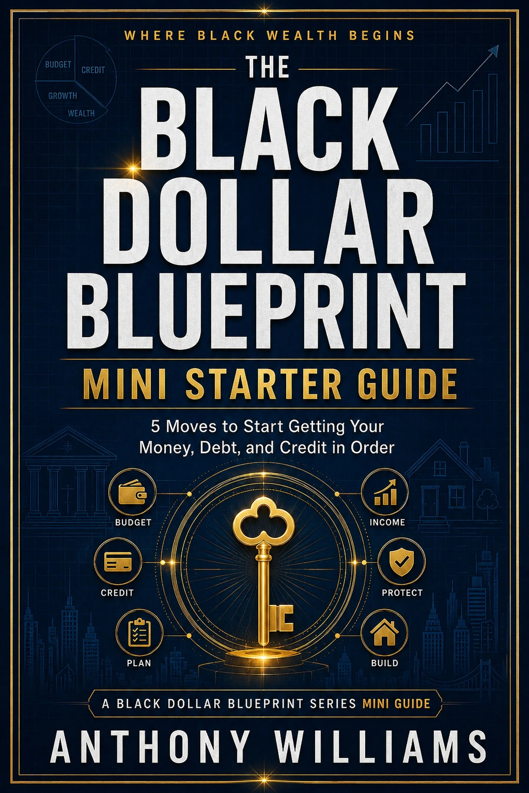 THE BLACK DOLLAR BLUEPRINT MINI STARTER GUIDE