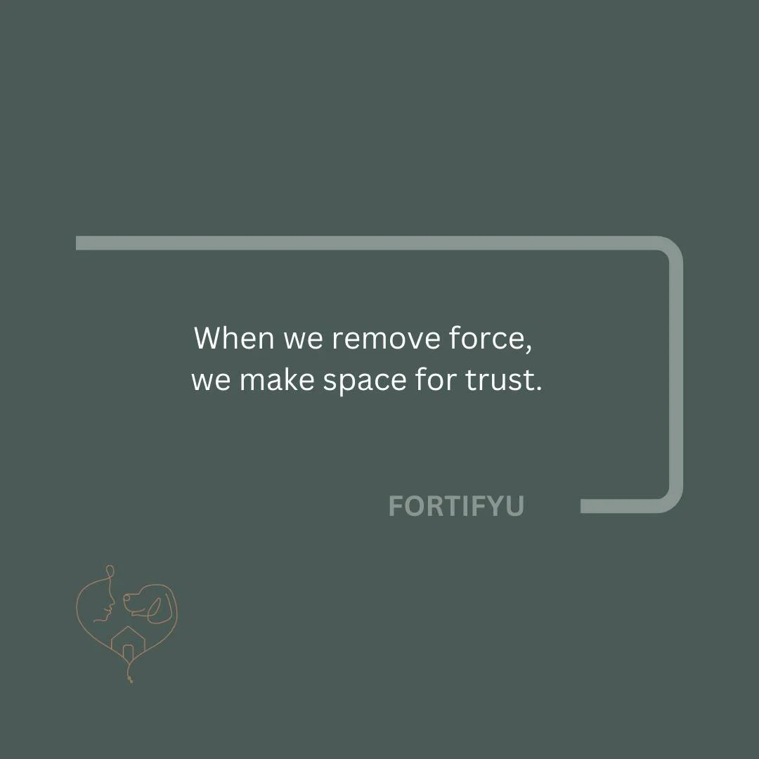It's a philosophy of relationship.

But you want to know what's also true?
The force-free approach is SLOWER.

It requires patience many people and systems won't give you.

Force often gets immediate compliance.
Trust takes time.

As we are deciding 