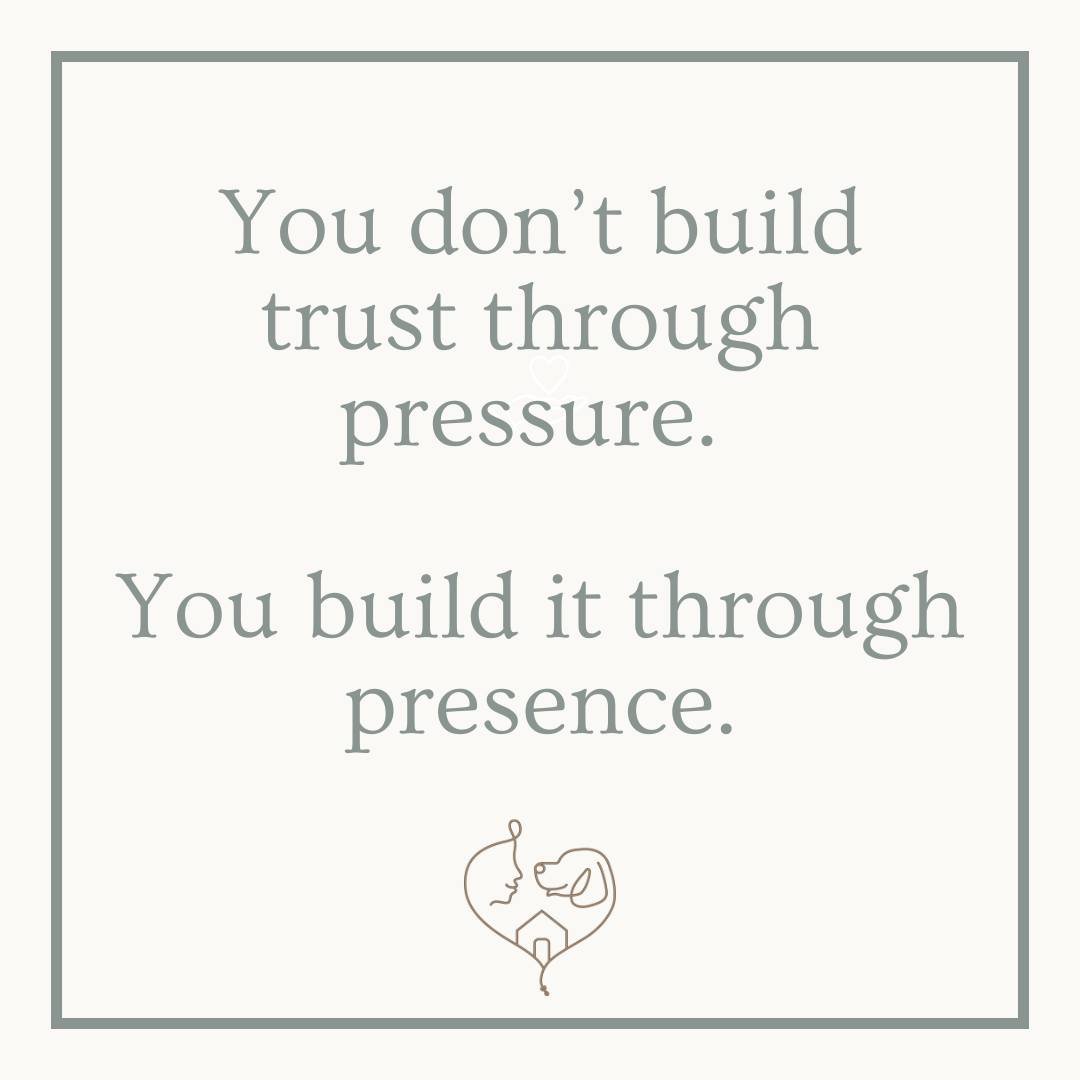 Pressure says: "Hurry up and trust me."
Presence says: "I'll be here when you're ready."

#presence #trust #animalcare #forcefree #vetmed #patience #extremelyhumananimalcare #unashamedlyforcefree #fortifyu
