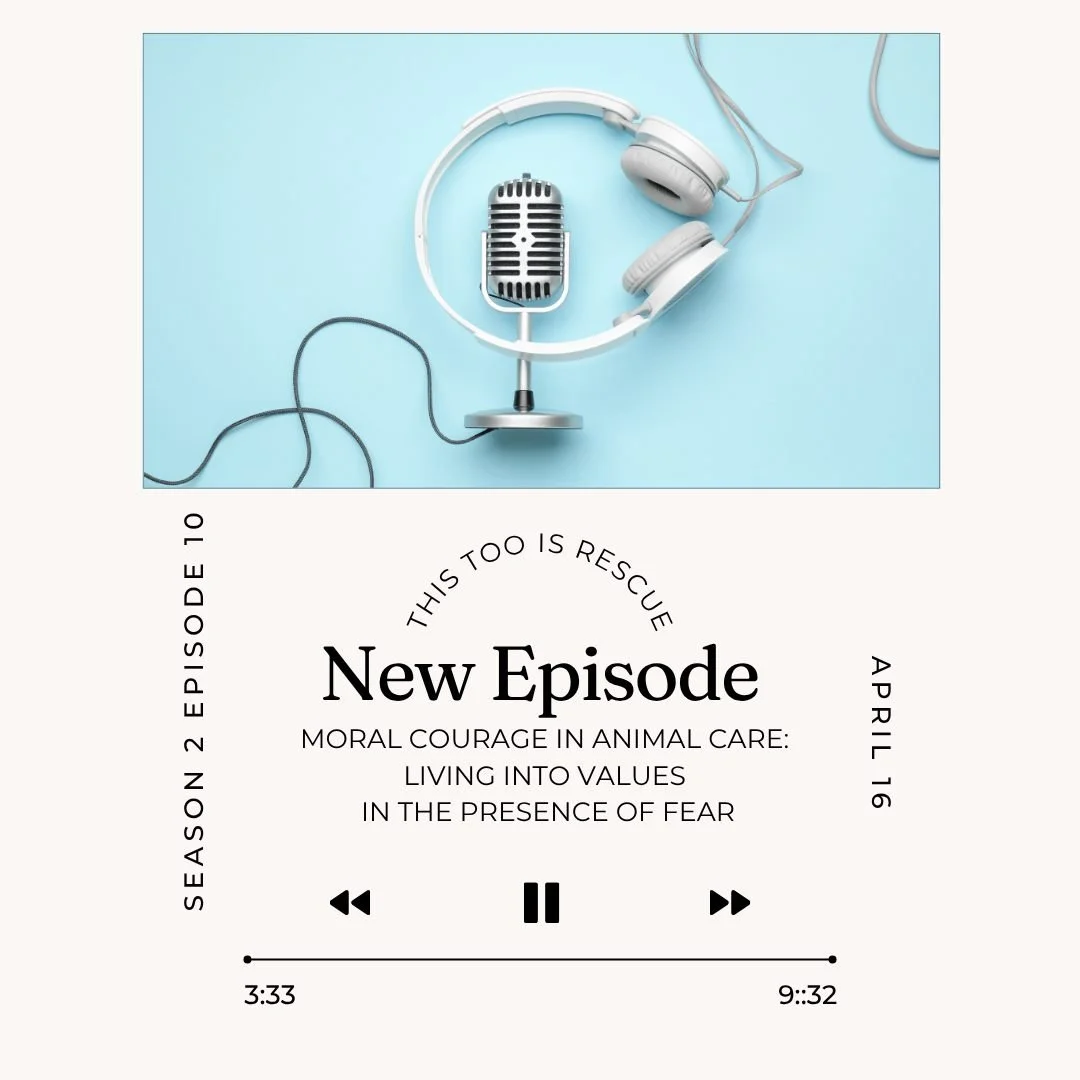 Moral courage only happens in the company of fear.

But it also happens in the presence of values.

🎙️ In this week's episode, we're talking about moral courage in animal care and remembering that we can live into our values, even in the presence of