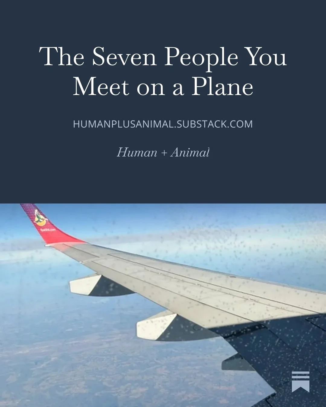 I landed in Zimbabwe today. A month of conservation and sanctuary work ahead of me here and in South Africa.

Before I met the first animal, I met seven people on the way here. 

I wrote about them, about what they carried, what I carried, and what i