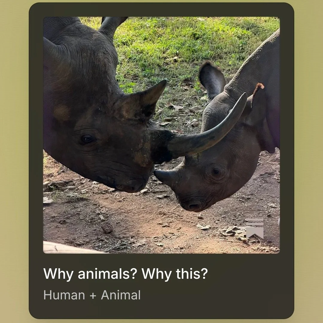 An adult who sees themselves as having power with, not power over animals and ecosystems, is an adult who will help their community to thrive.
