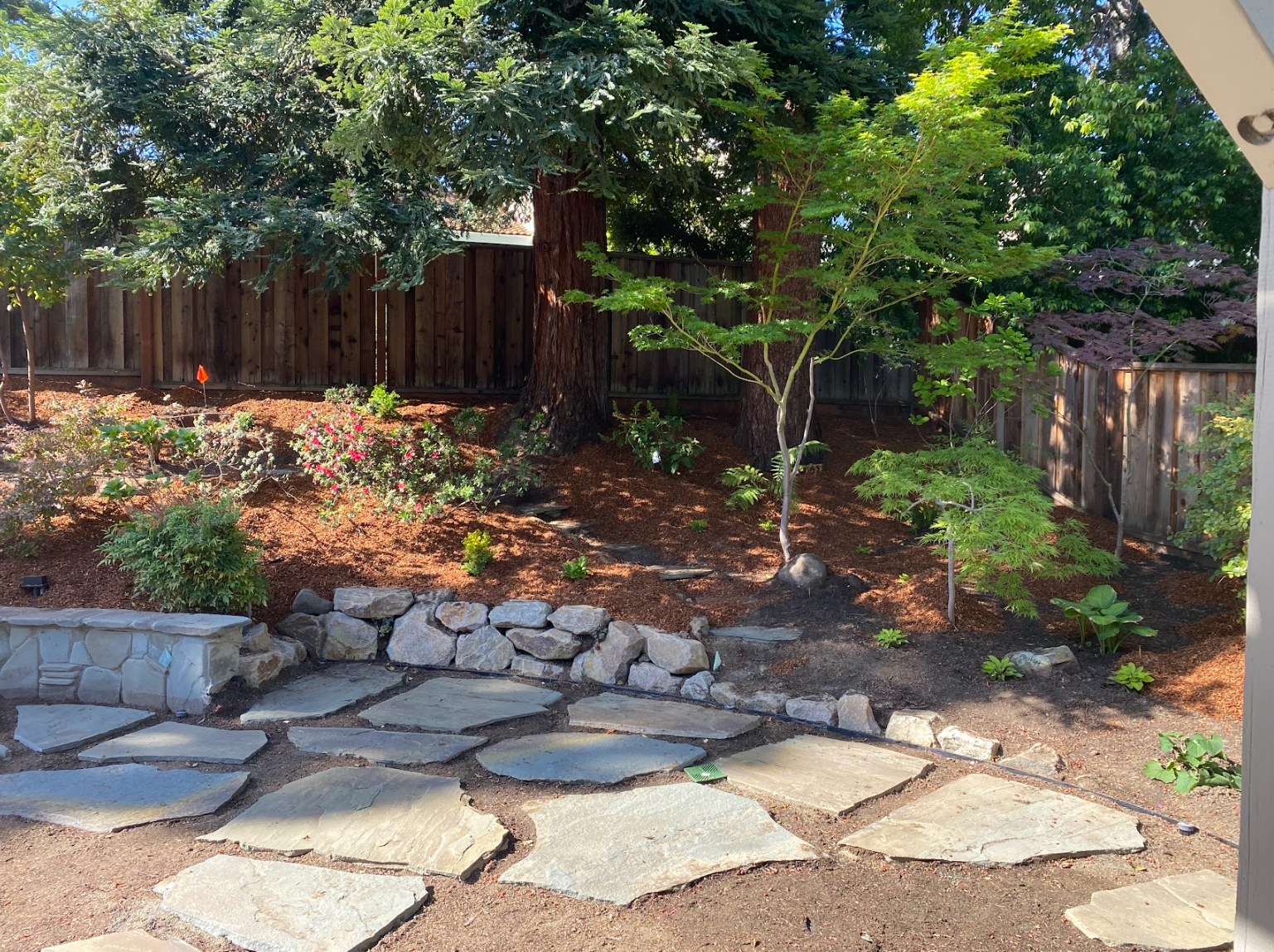 Screenshot 2026-03-05 122309.png