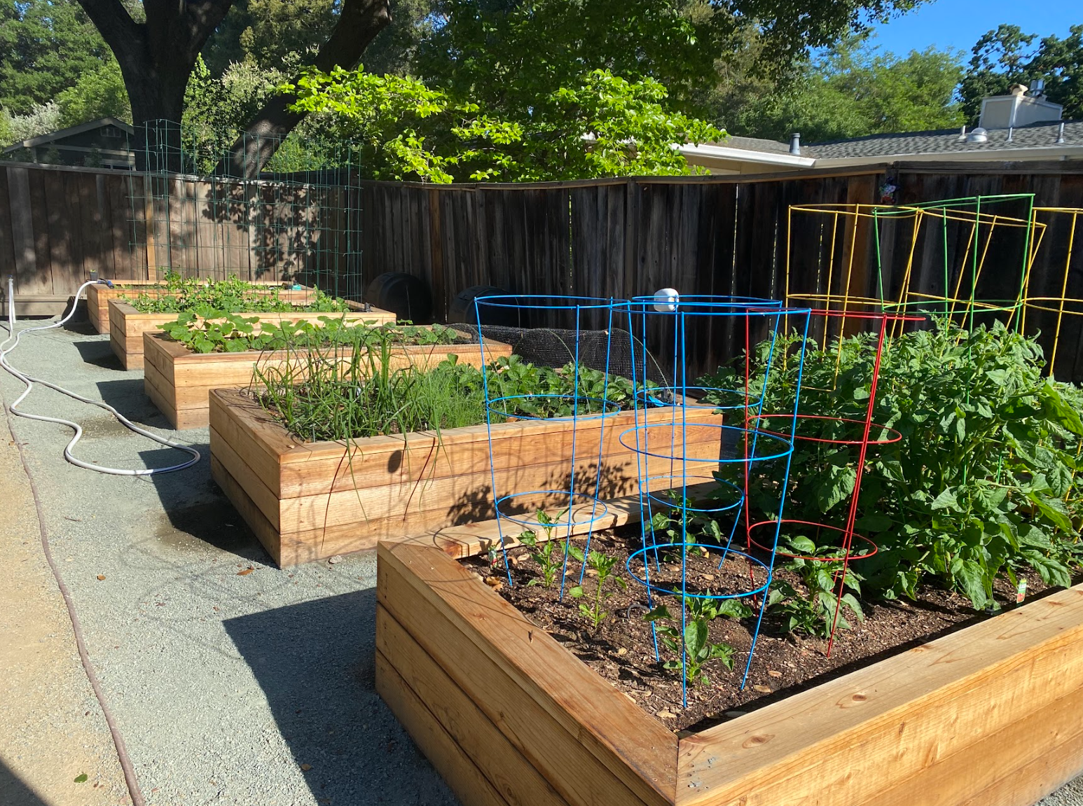 Screenshot 2026-03-05 122142.png