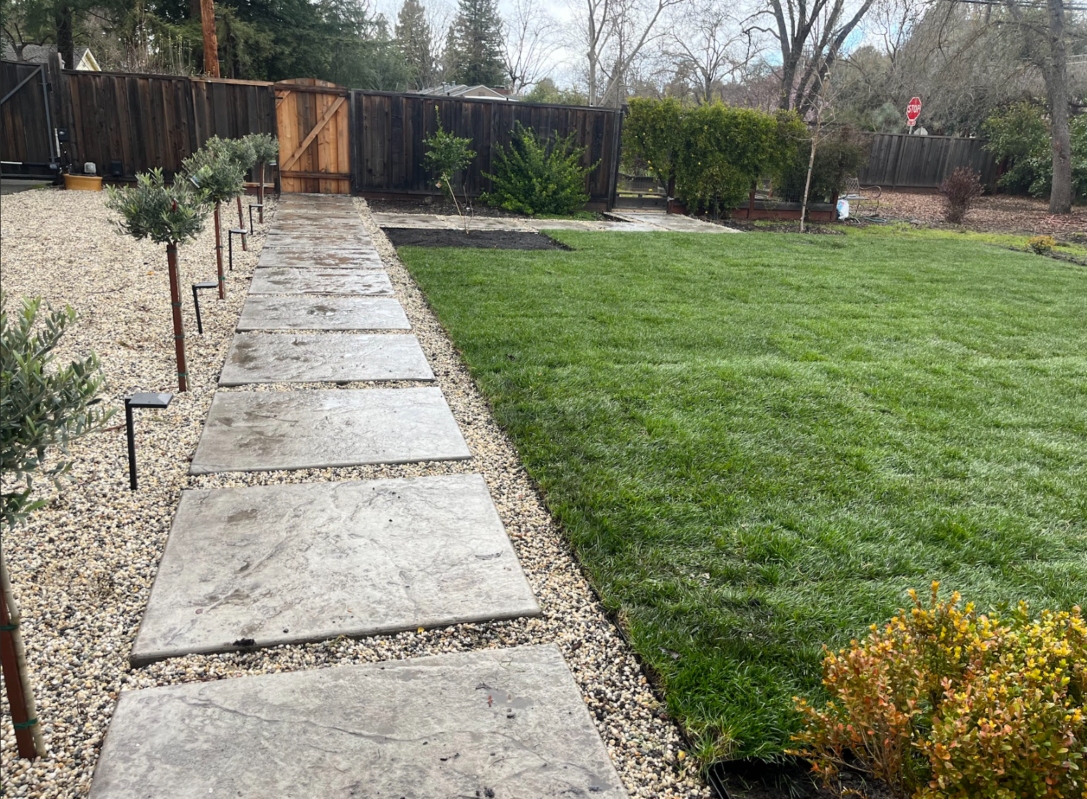 Screenshot 2026-03-05 122503.png