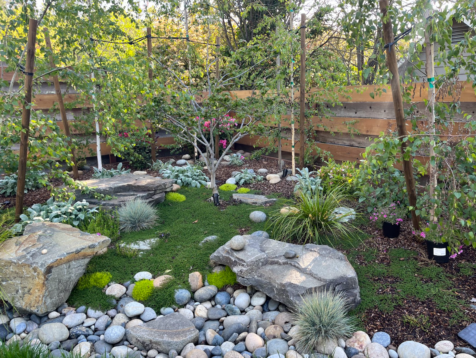 Screenshot 2026-02-21 192540.png