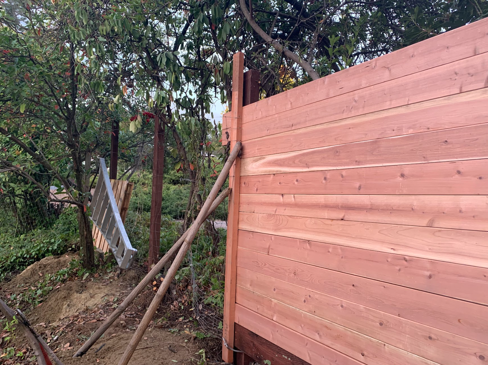 Screenshot 2026-03-05 121755.png