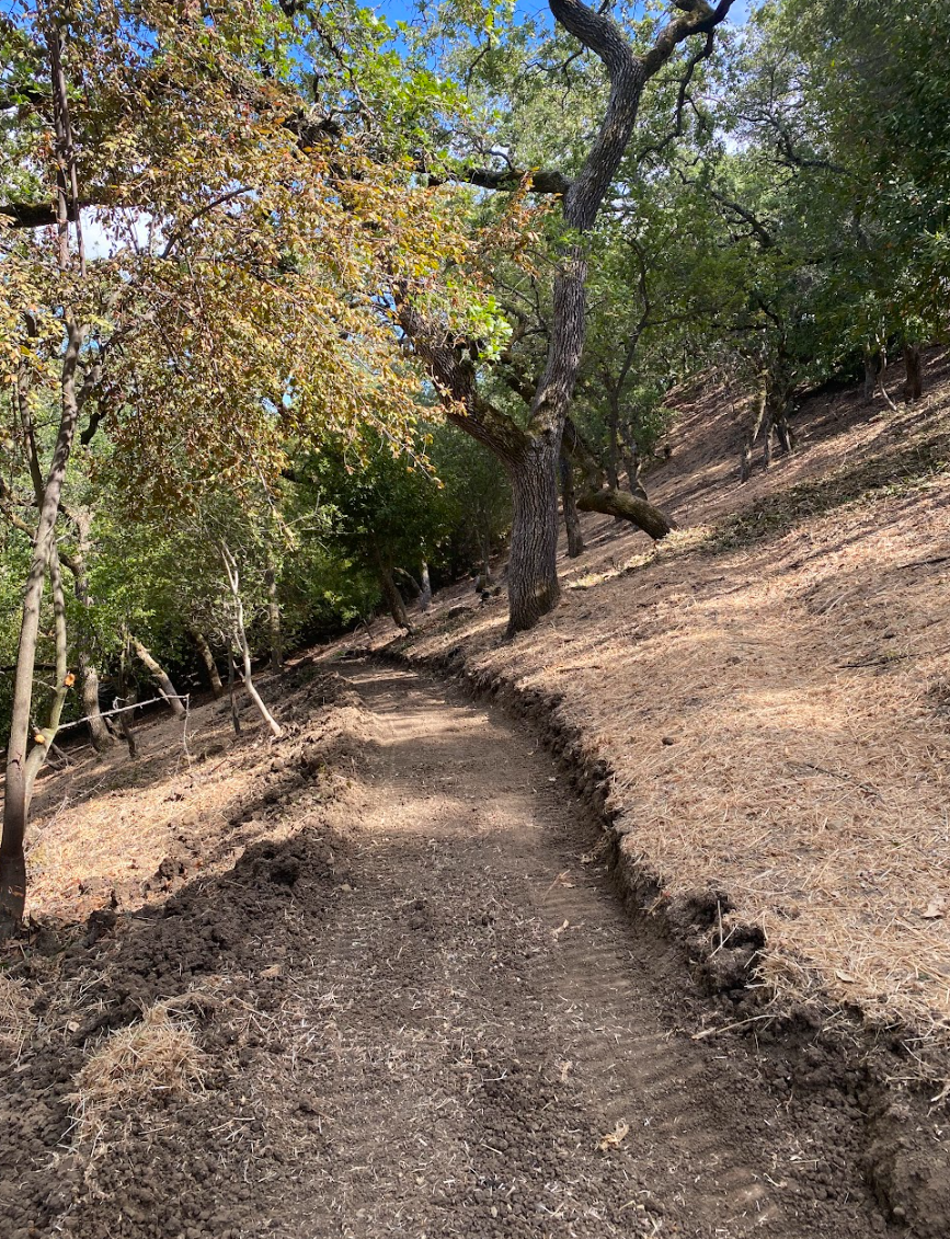 Screenshot 2026-03-05 122557.png