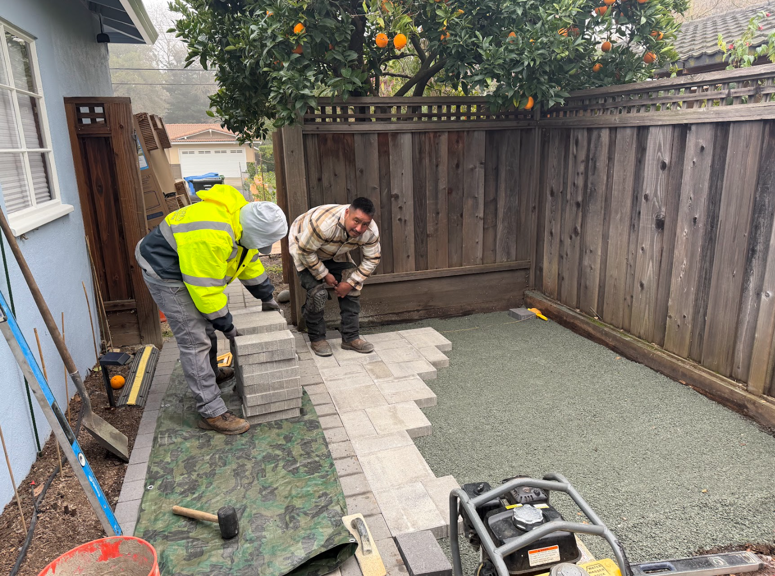 Screenshot 2026-03-05 122531.png