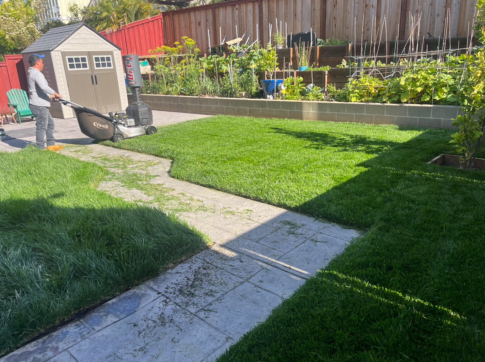 Screenshot 2026-03-05 122258.png