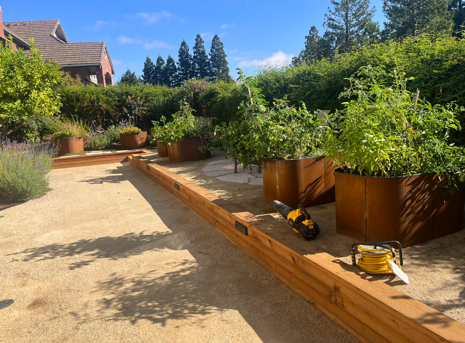 Screenshot 2026-03-05 122317.png