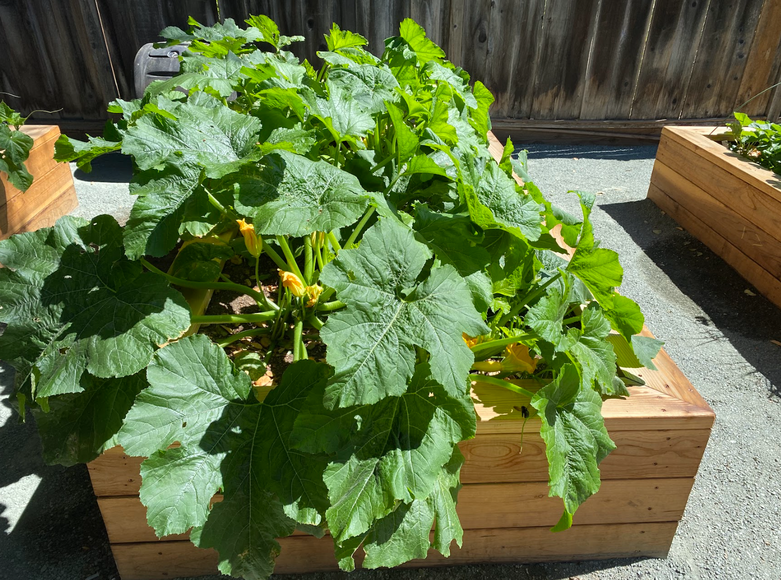 Screenshot 2026-03-05 121859.png