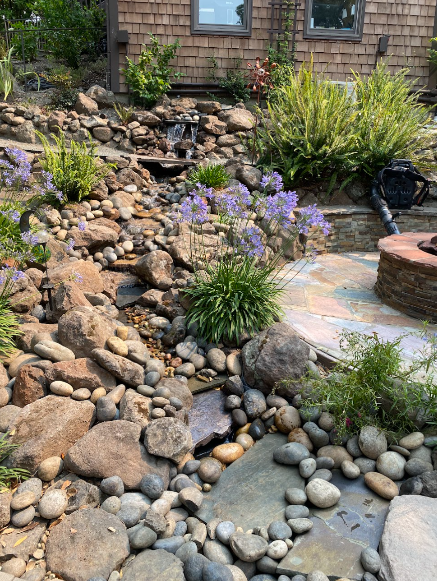 Screenshot 2026-03-05 122414.png