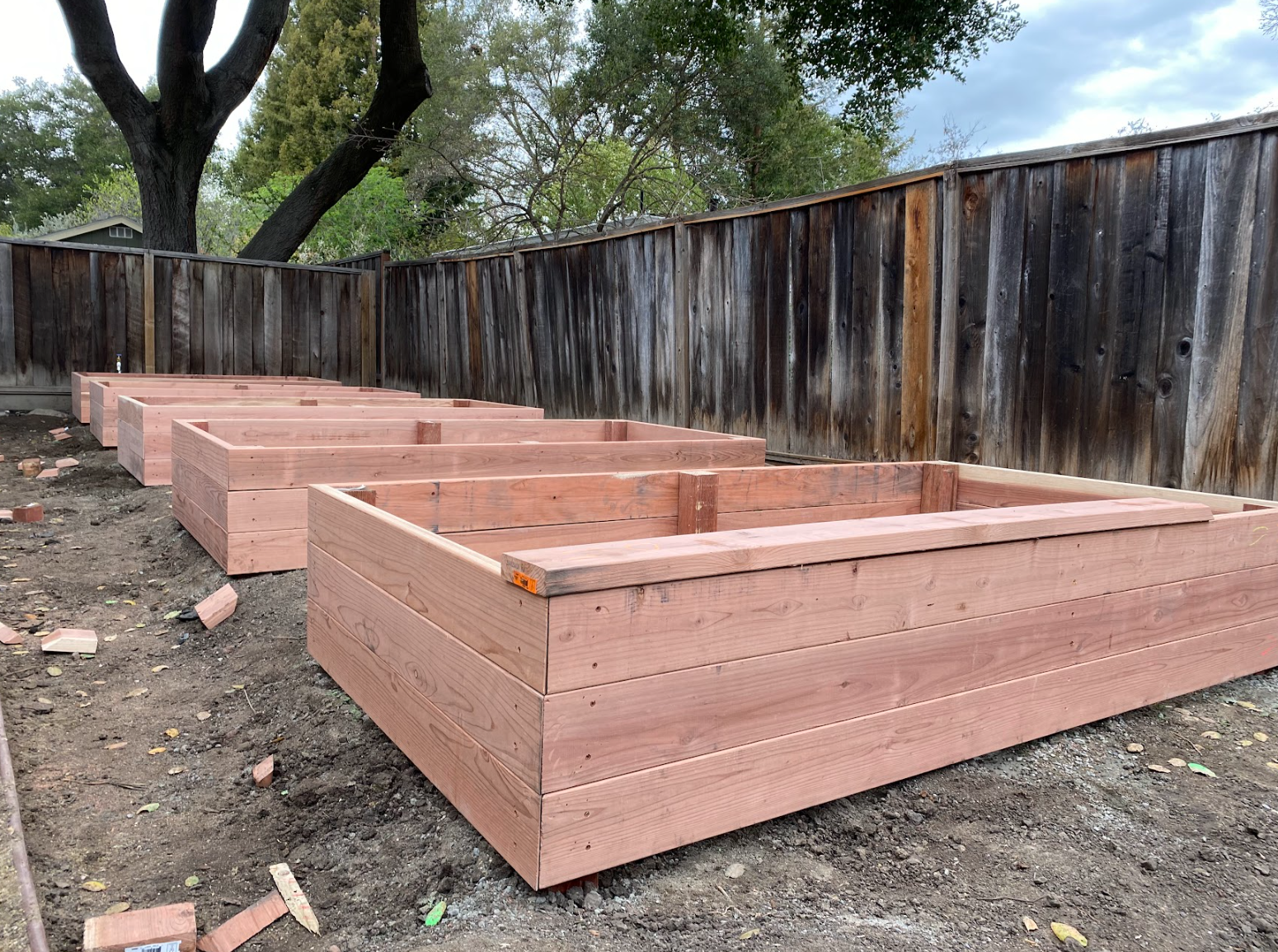 Screenshot 2026-03-05 121916.png