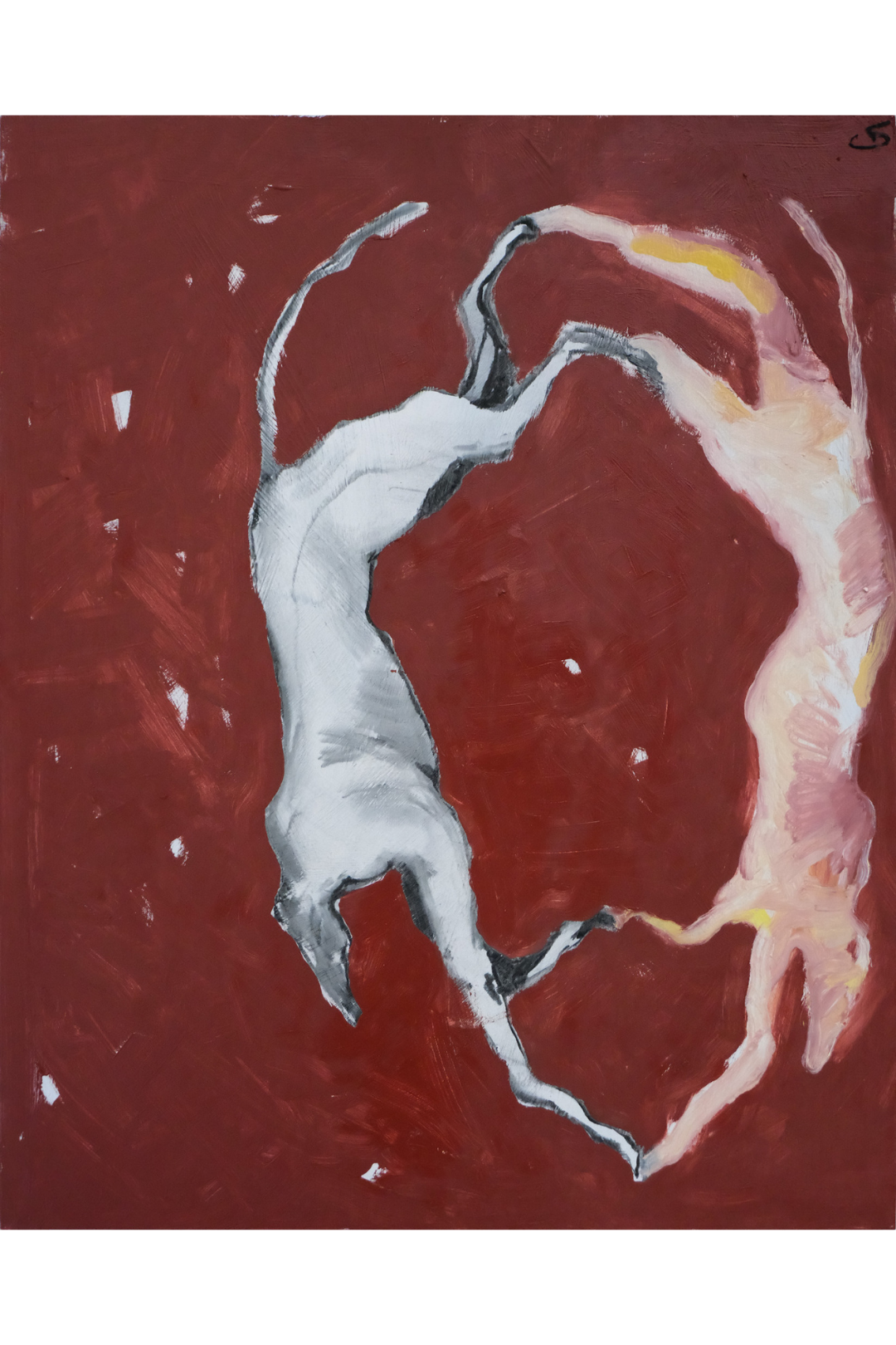 Genevieve Mathews, Running with the dogs
