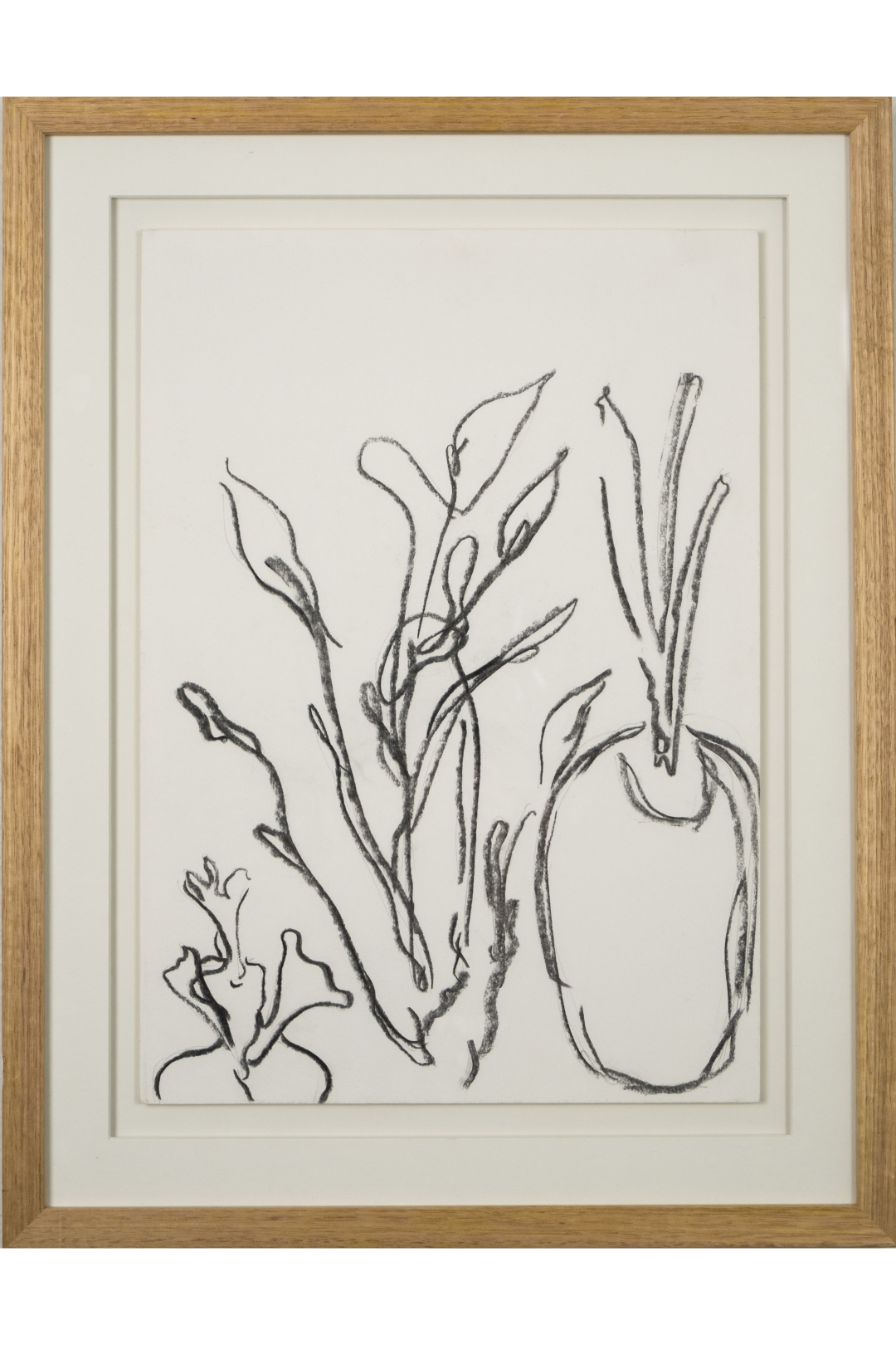 Amaani Alikhan, Untitled 2