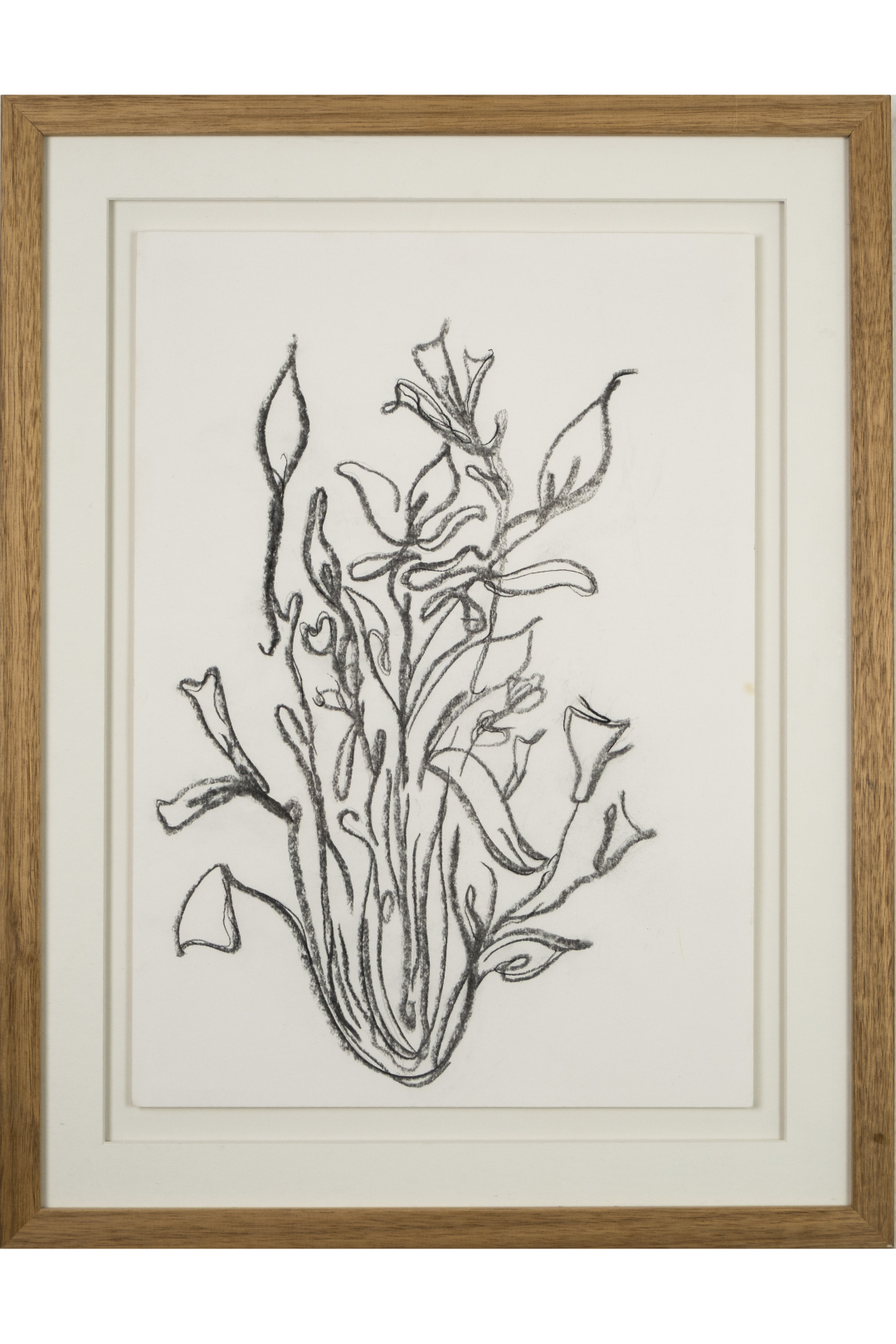 Amaani Alikhan, Untitled 1