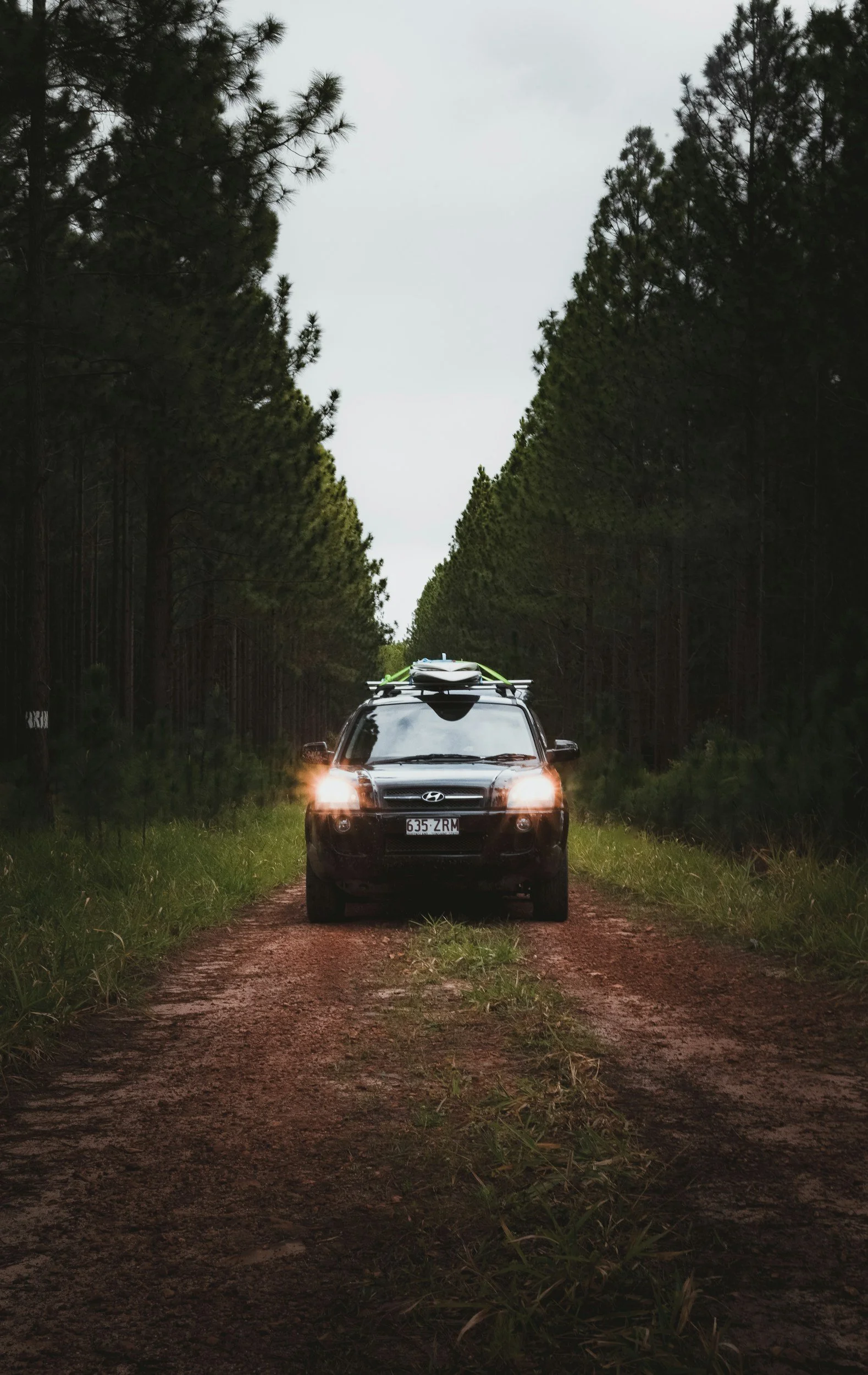 A black Hyundai SUV driving on a dirt road surrounded by tall pine trees, with a surfboard on the roof rack and headlights on.