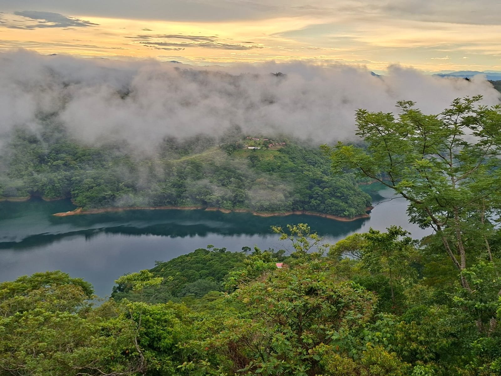 WhatsApp Image 2025-11-19 at 14.34.44.jpeg