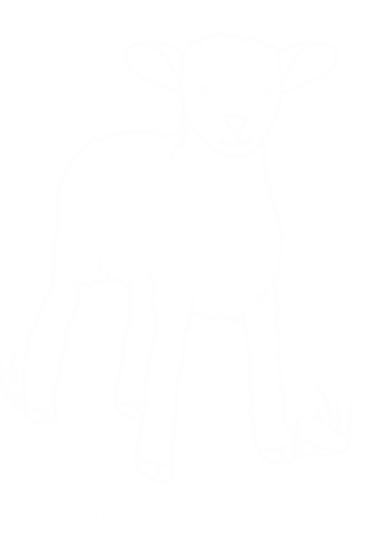 marketing strategist, growth consultant, execution partner