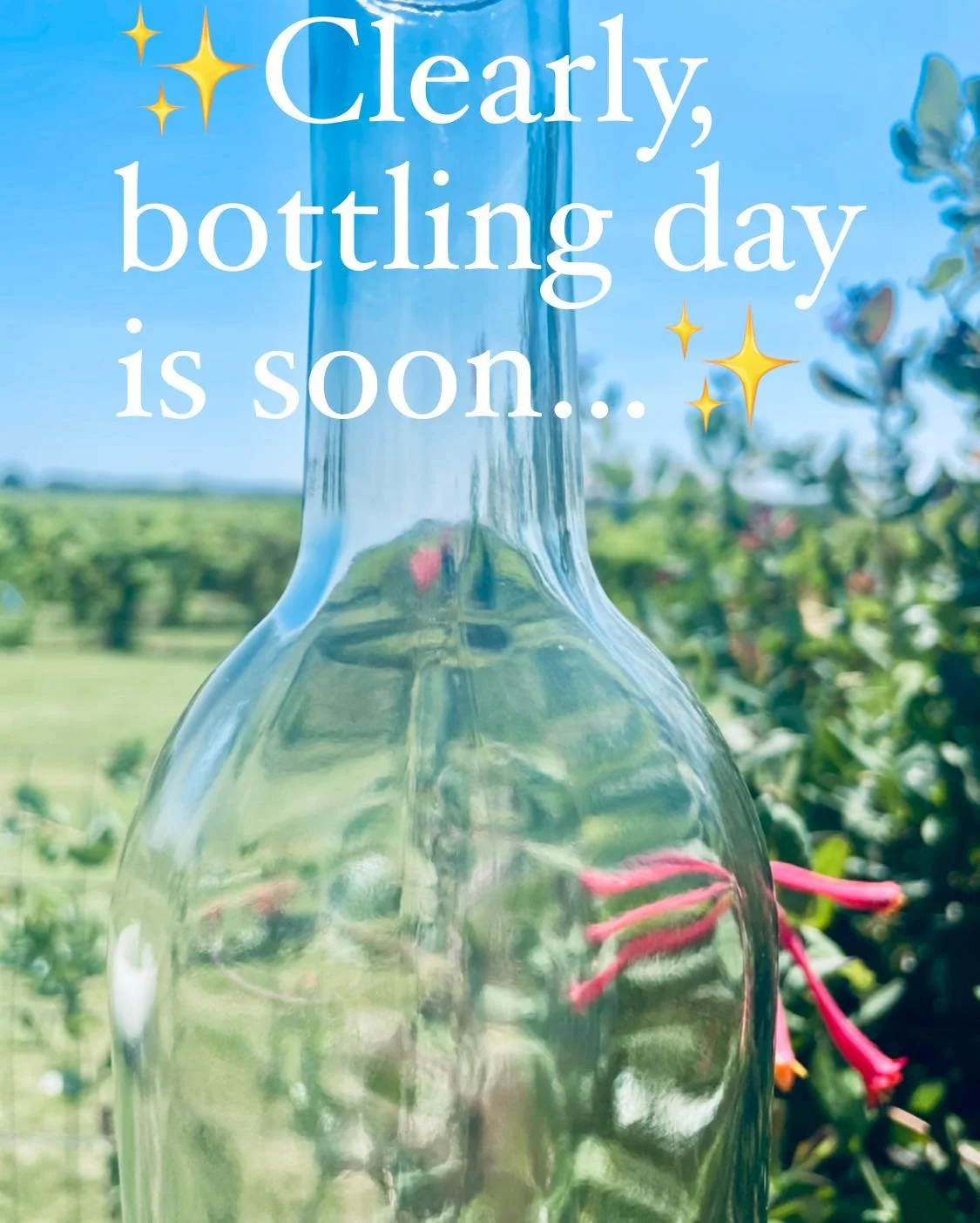 Glass delivery today #amongthevines #fieldtoglass #tribevineyards #comanchetx