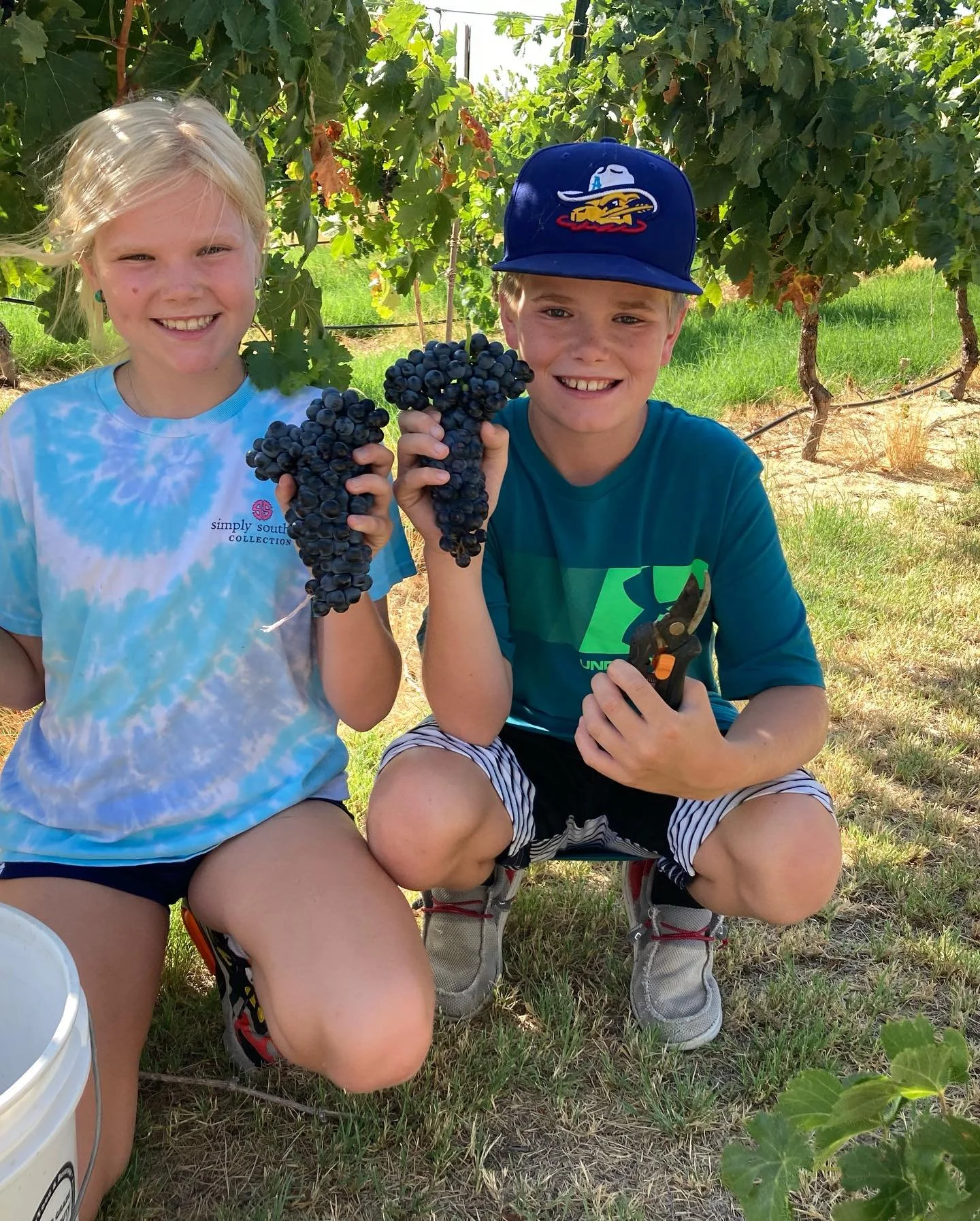 Wow! I cannot believe that this is our 8th year of grape growing! We&rsquo;ve mostly grown grapes for area Texas wineries. But every year, we seem to hold more and more back to try our hand at it. Through the years, I have made lots of red, white, an