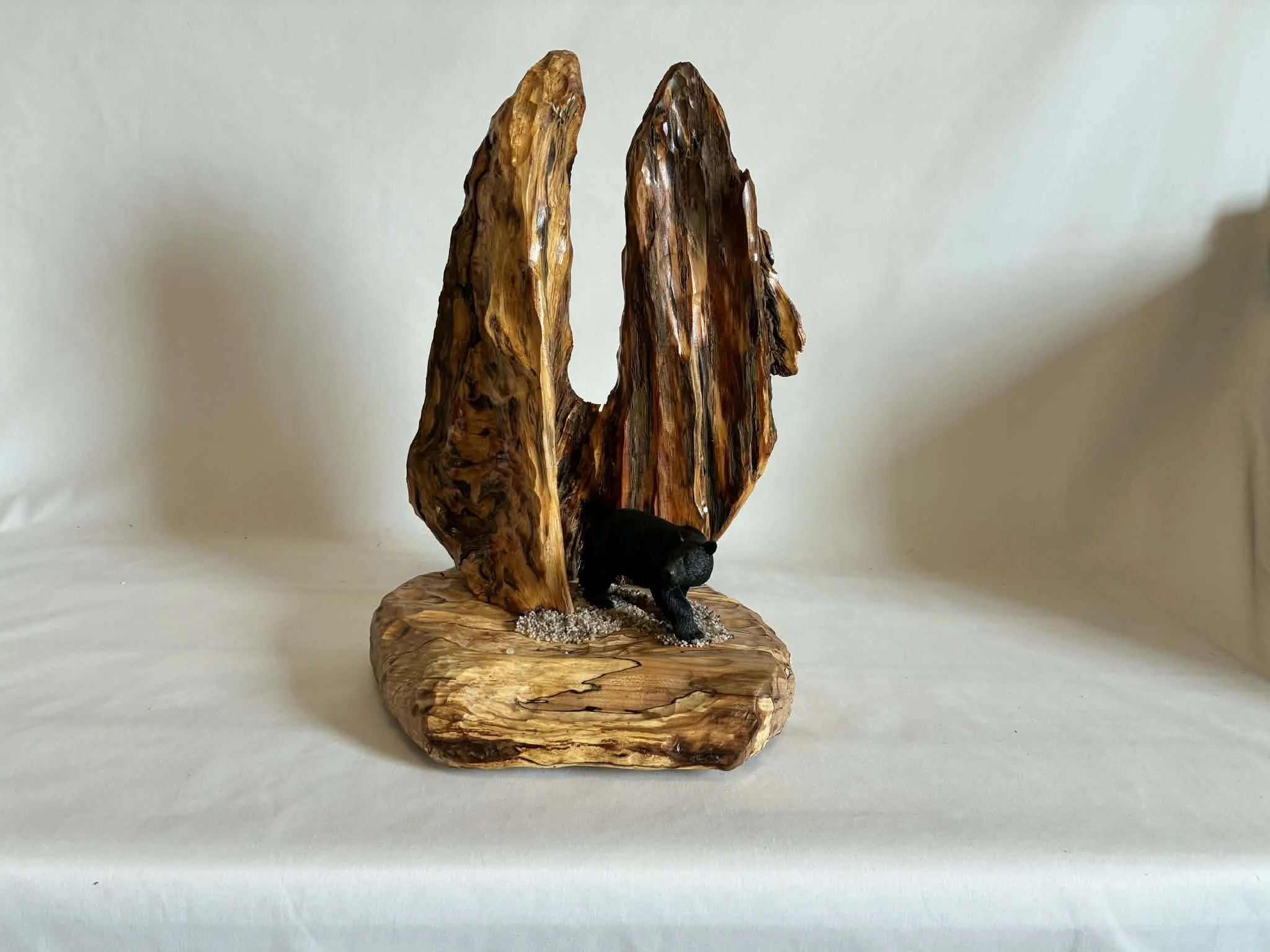 Black Bear in the Cave