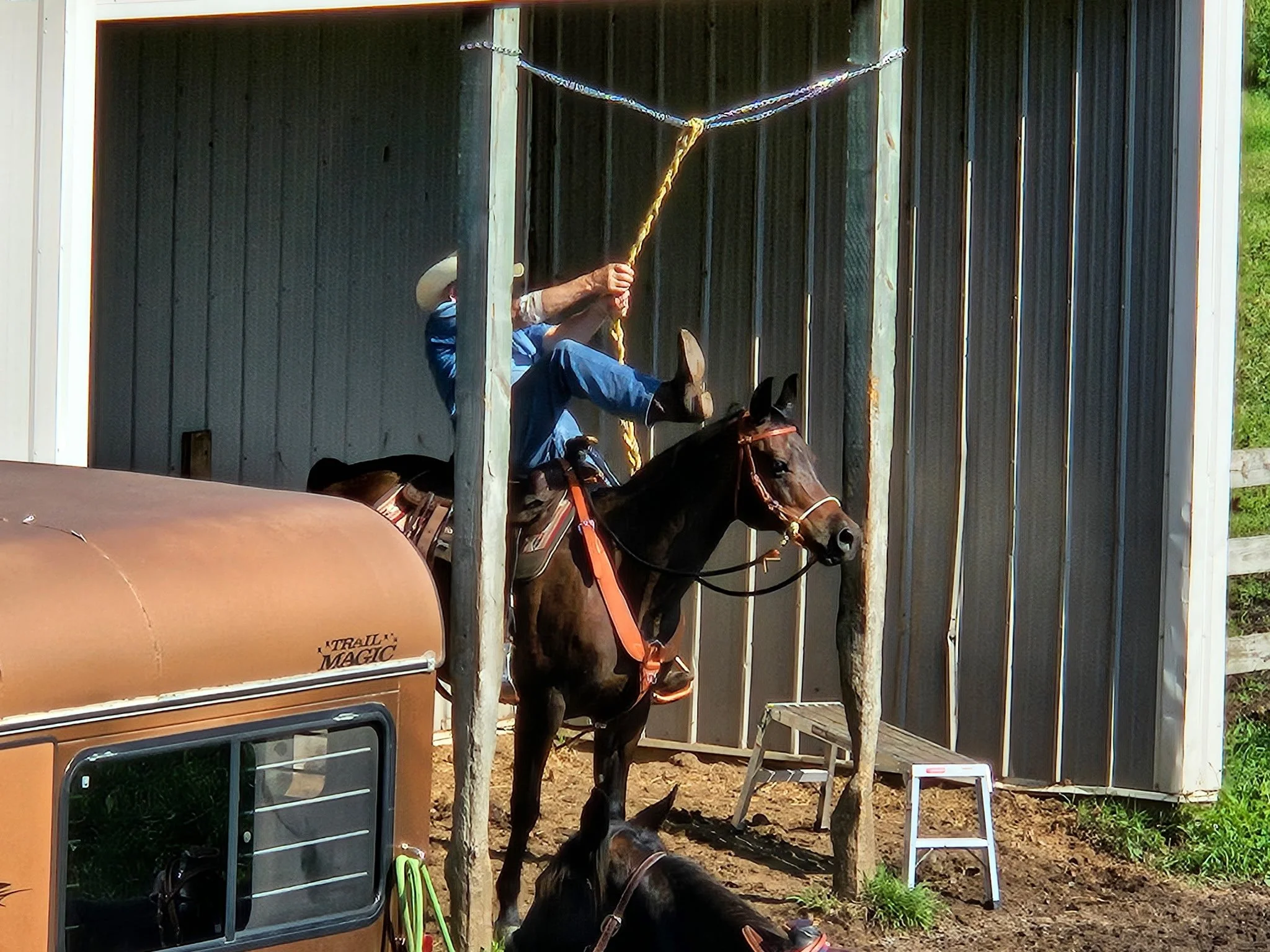 A person riding a horse inside a barn, holding a rope and wearing a cowboy hat, with another horse standing nearby and a small white ladder outside.