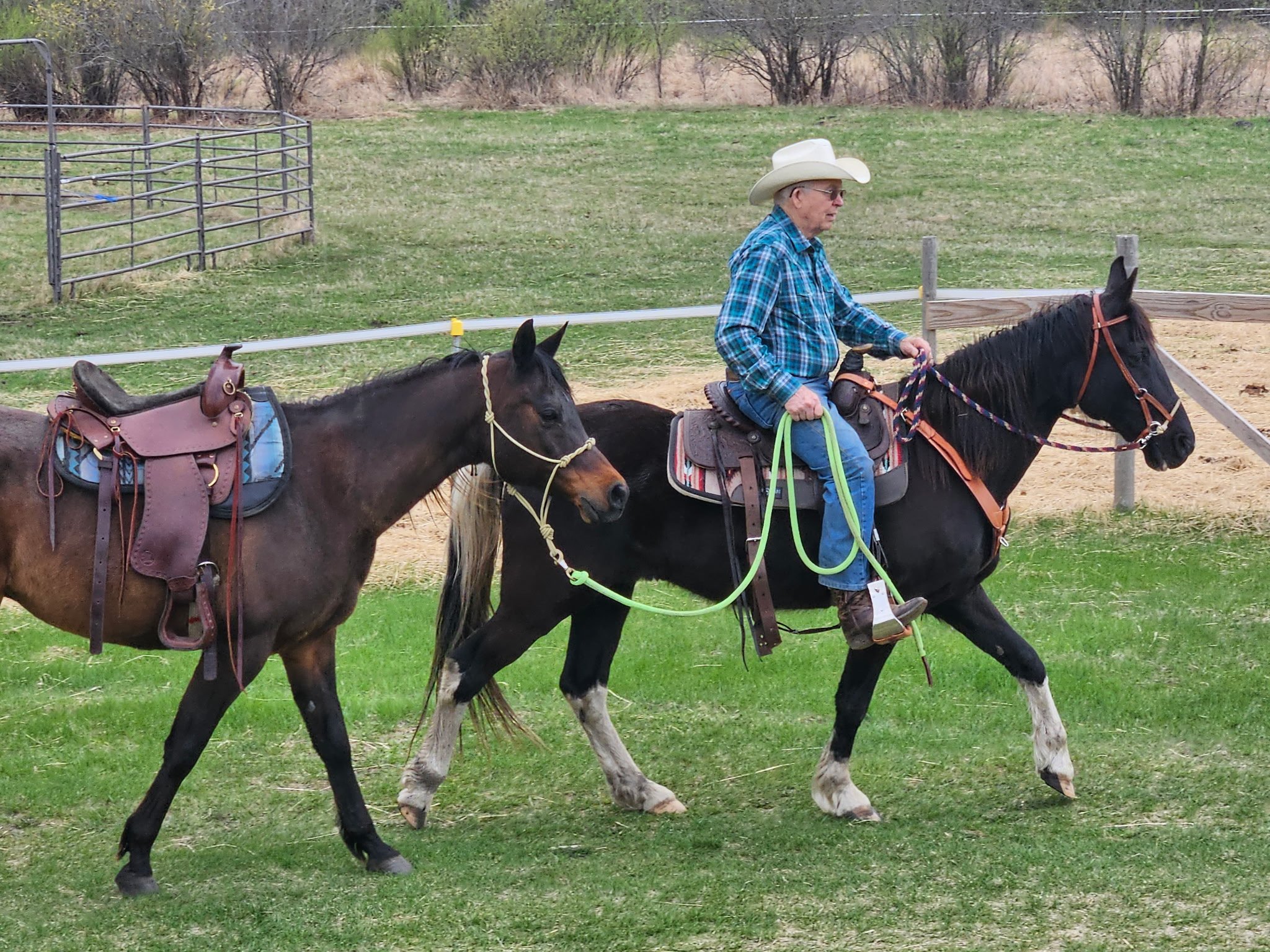 An elderly man riding a black horse, holding the reins, wearing a white cowboy hat, blue plaid shirt, jeans, and cowboy boots. The horse is equipped with a saddle, bridle, and reins. A second brown horse, also saddled and with a bridle, is walking al