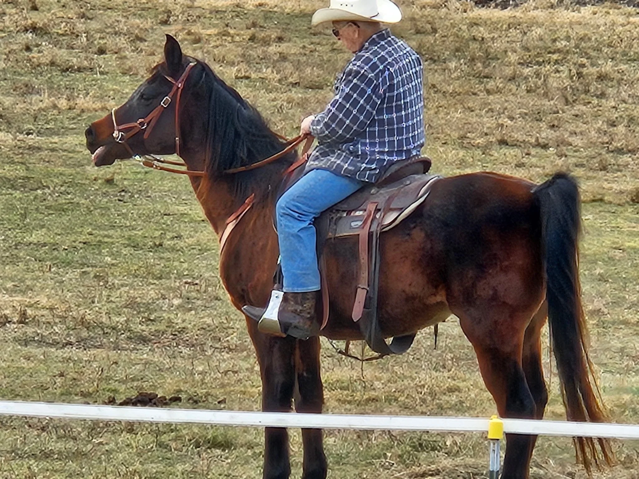 A man wearing a cowboy hat, glasses, a plaid shirt, and blue jeans riding a brown horse on an open field.
