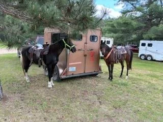 Three horses tied to a horse trailer in a grassy area with trees and other trailers in the background.