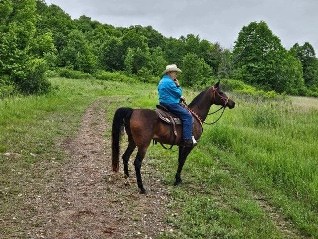 A person wearing a blue jacket and a cowboy hat rides a brown horse along a dirt trail in a grassy, wooded area on a cloudy day.