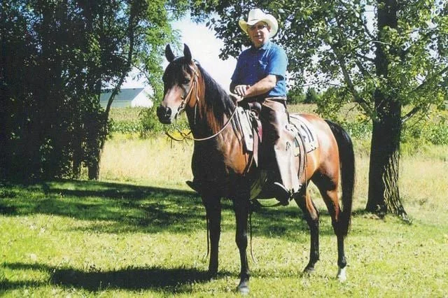 A man wearing a cowboy hat and blue shirt riding a brown horse with a black mane in a grassy outdoor area with trees.