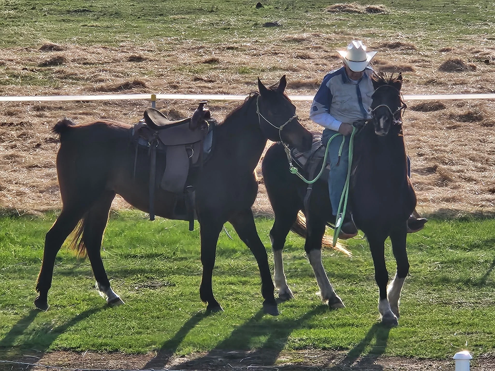 Bengtson
Warren
rustic
western
decor
cowboy
cowgirl
horsemanship
horse
farrier
horse training
hoof
trim
trimming
art
paintings
framed
rodeo
champion
speaker
speaking
redemption
salvation
Jesus Christ